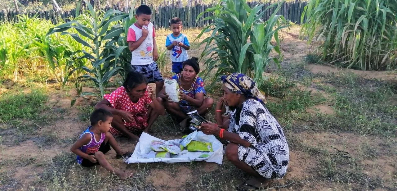 WhatsApp Image 2025-11-20 at 9.57.53 AM.jpeg