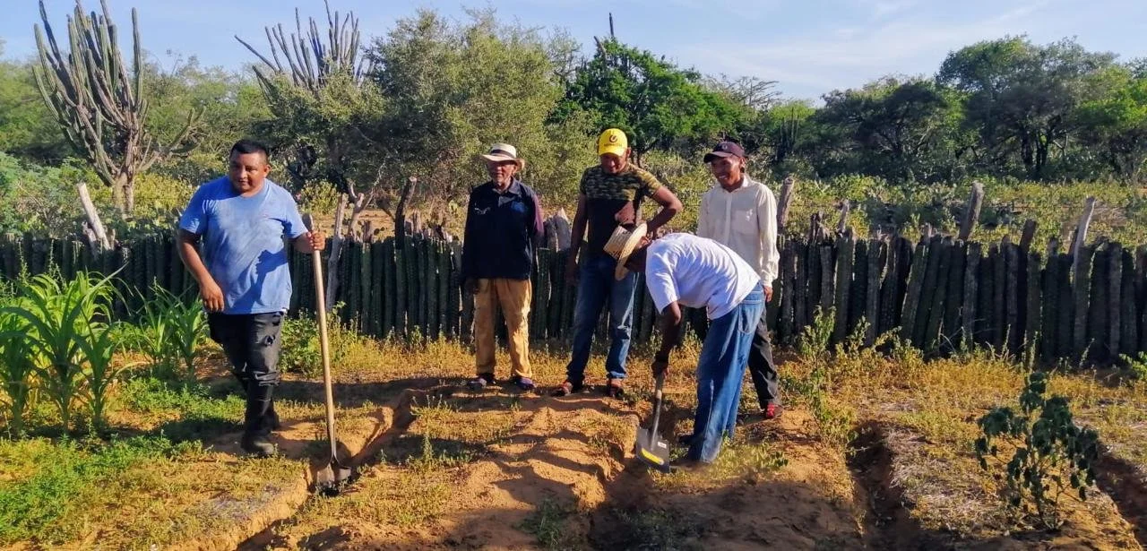 WhatsApp Image 2025-11-20 at 9.57.33 AM.jpeg