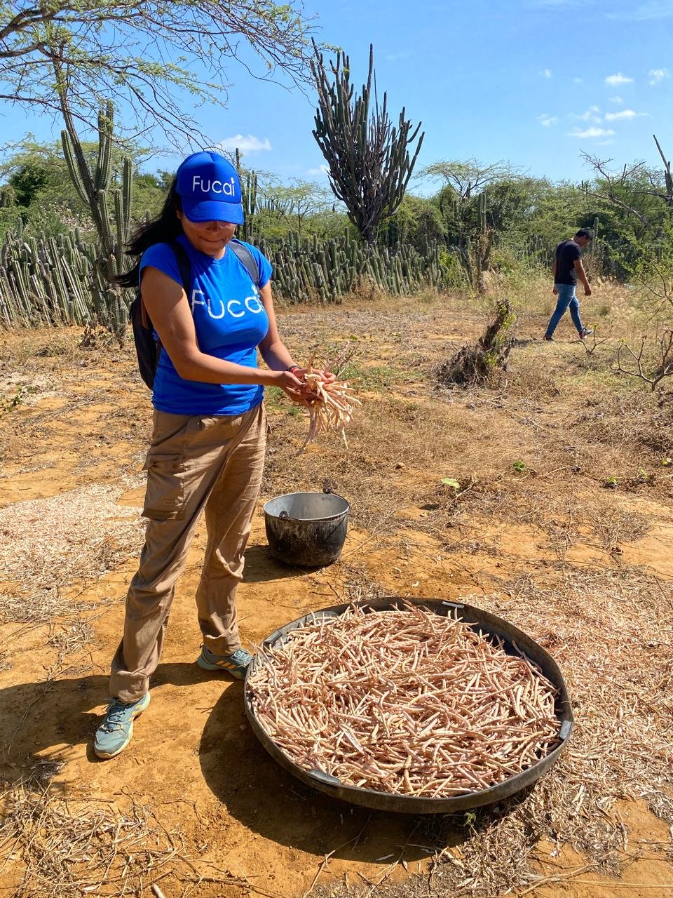 WhatsApp Image 2025-11-20 at 9.48.13 AM.jpeg