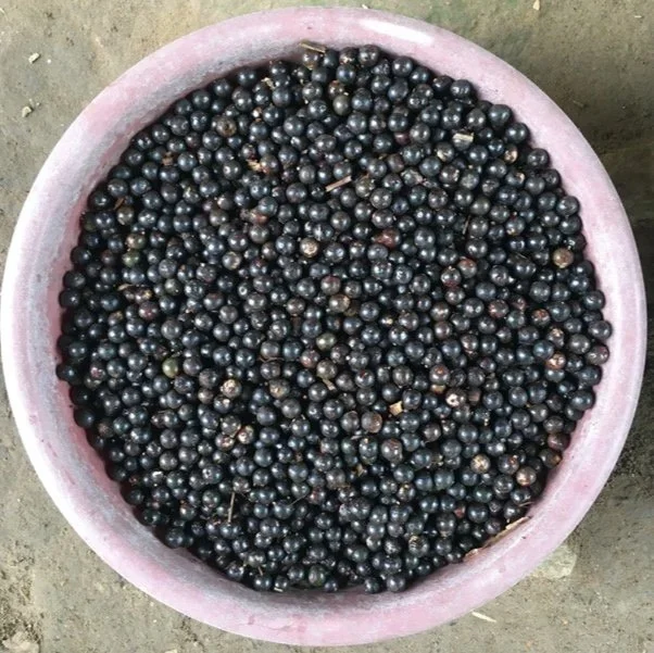 Açaí: La selva servida en un vaso.