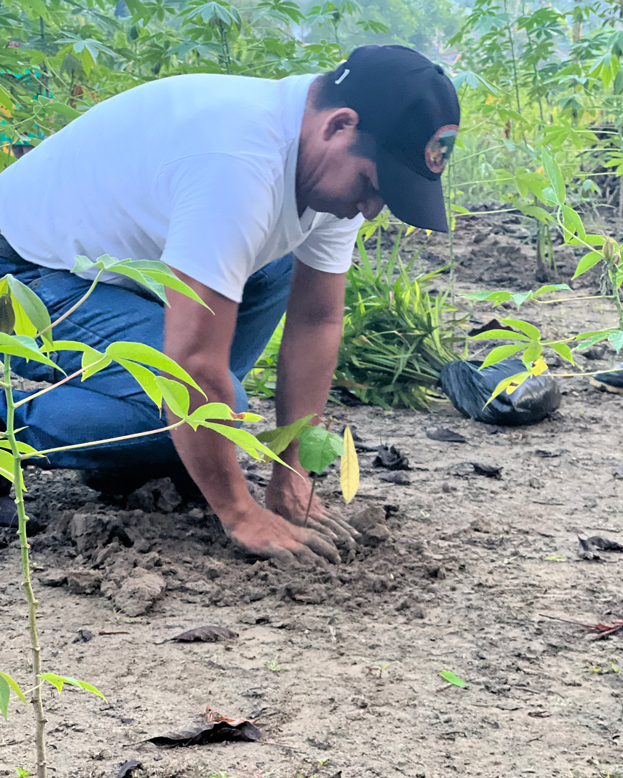 Guardia indígena: cuidar el bosque en tiempos de campaña electoral.