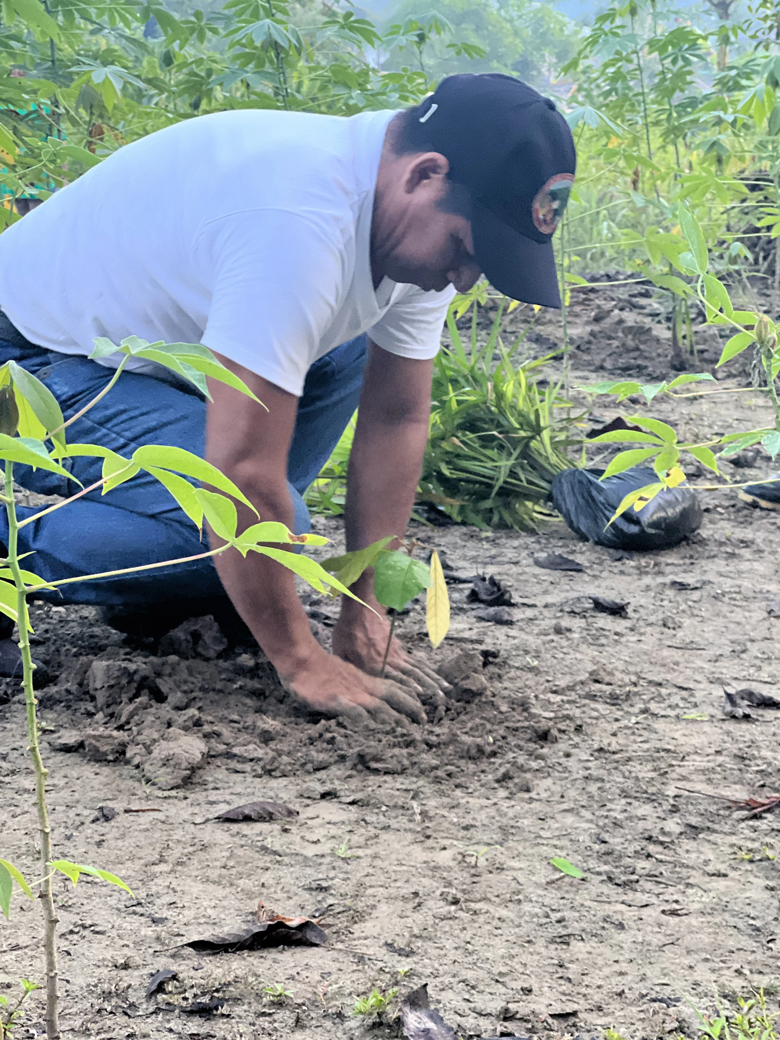 Guardia indígena: cuidar el bosque en tiempos de campaña electoral.