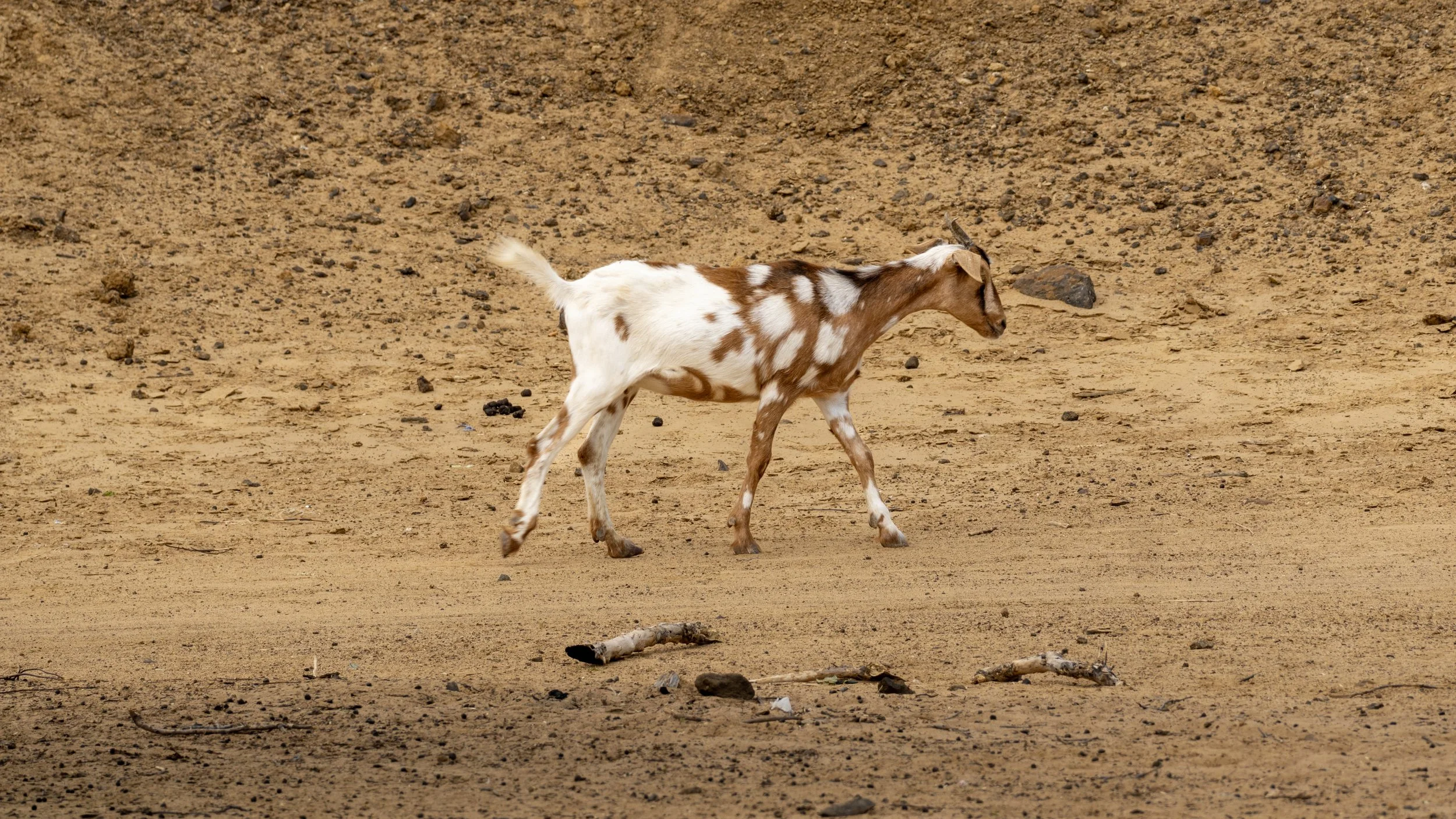 La superación del Estado de Cosas Inconstitucional sigue siendo una tarea inconclusa.