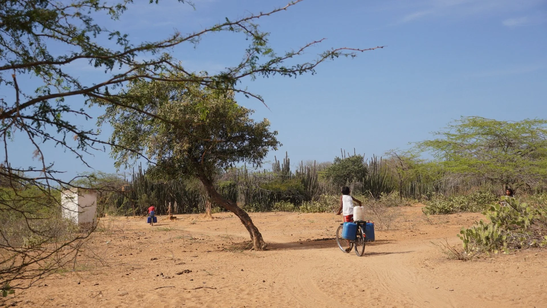 La Guajira sin margen de espera  