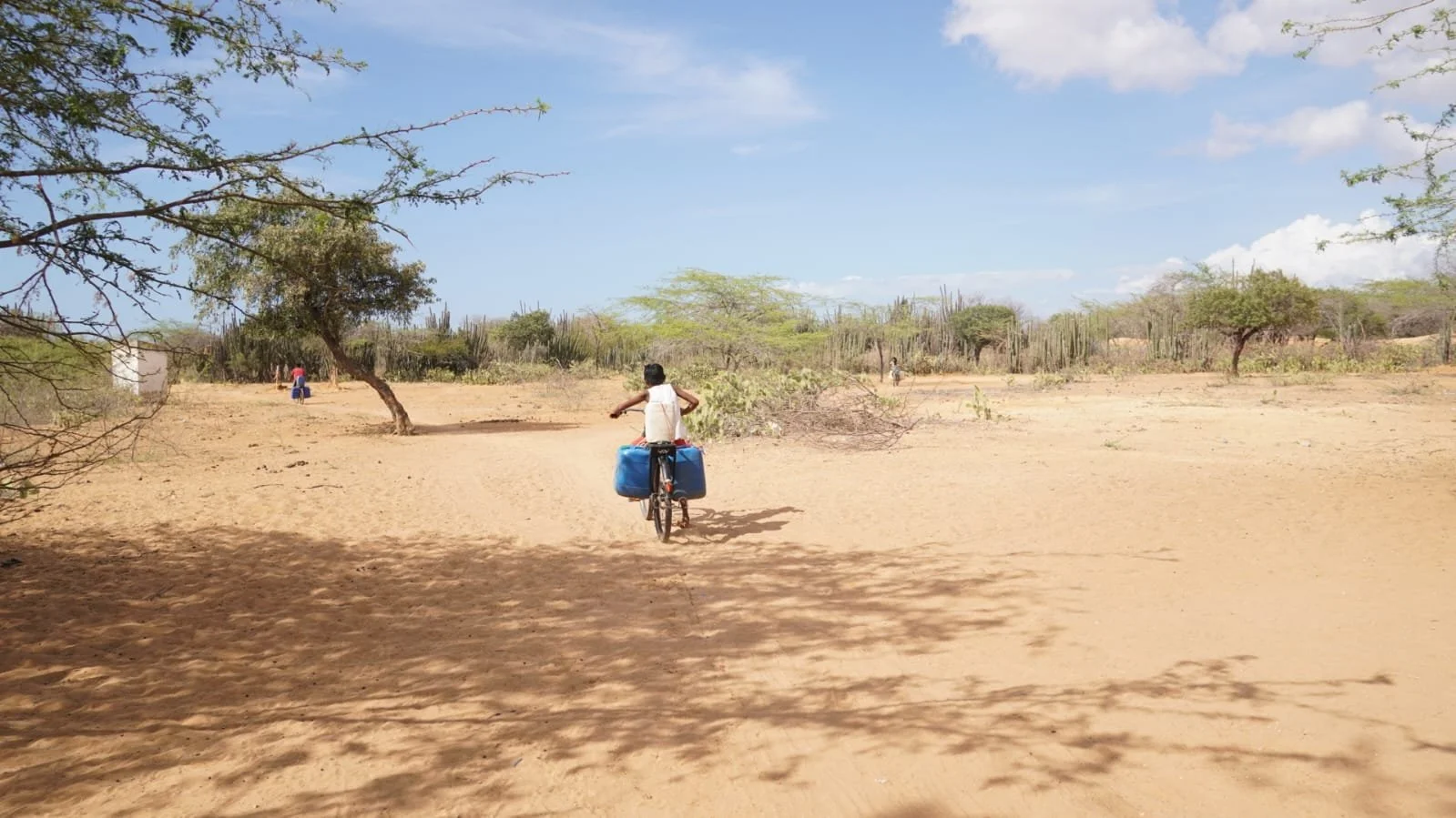 La Guajira sin margen de espera  