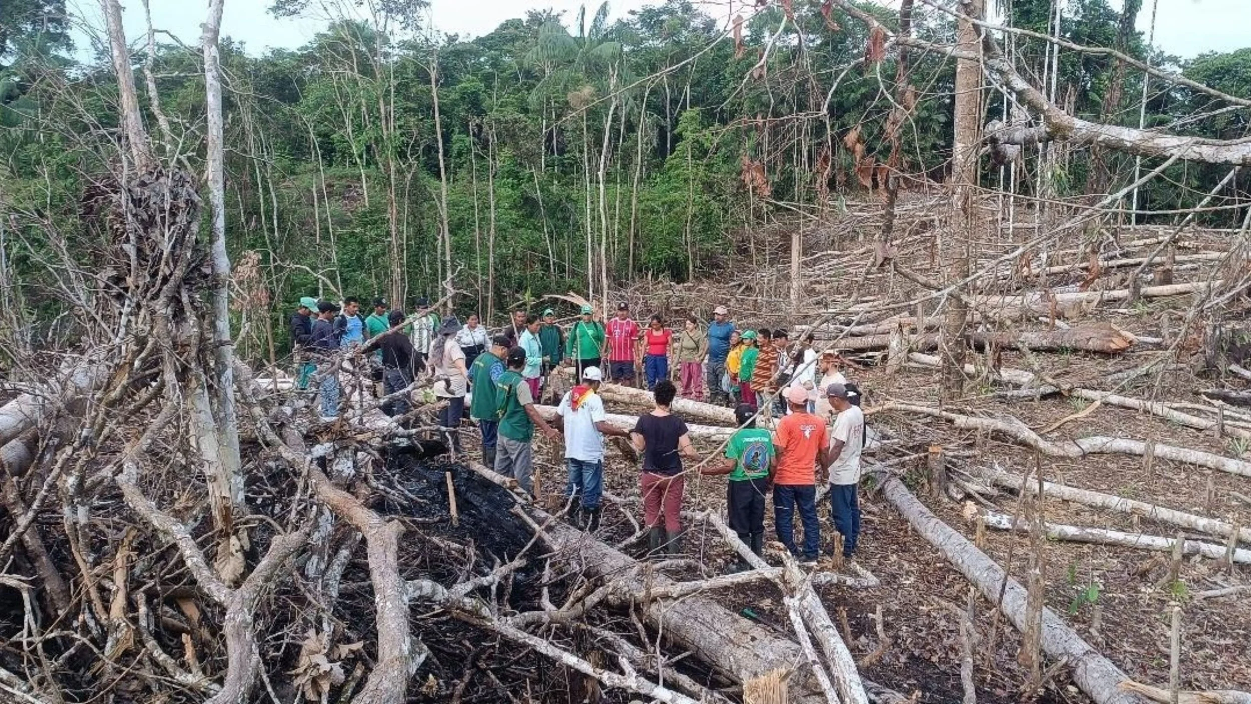 EL SUELO: EL PRIMER BOSQUE QUE NO VEMOS