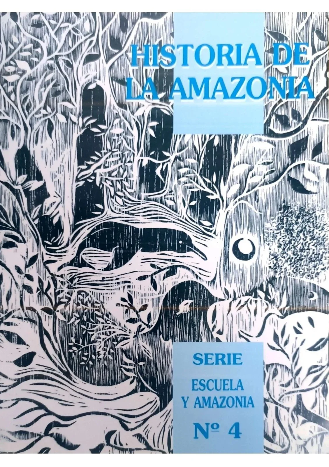 Portada+Historia+de+la+Amazonia+%234.jpg