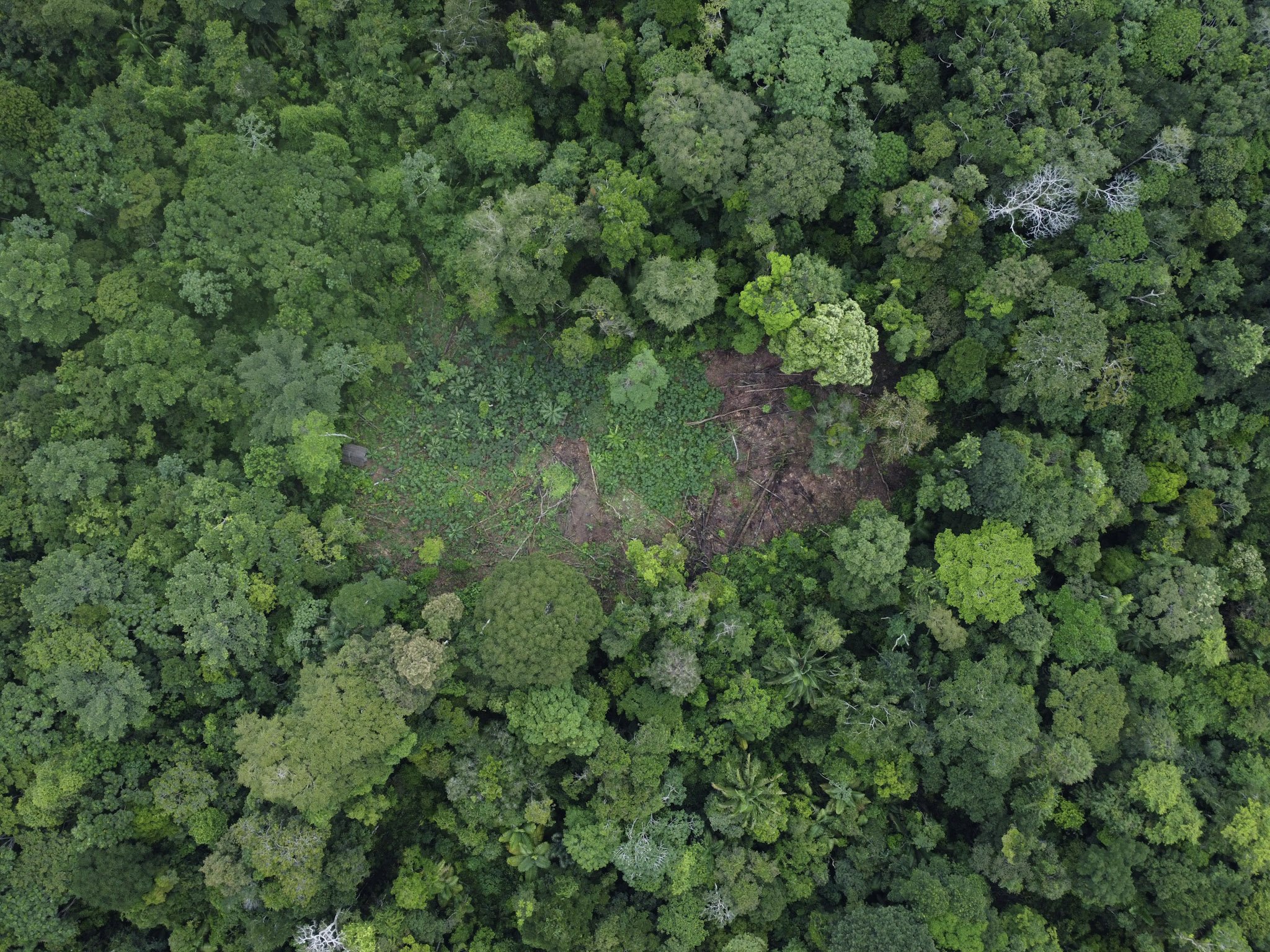 61-DJI_0582.jpg