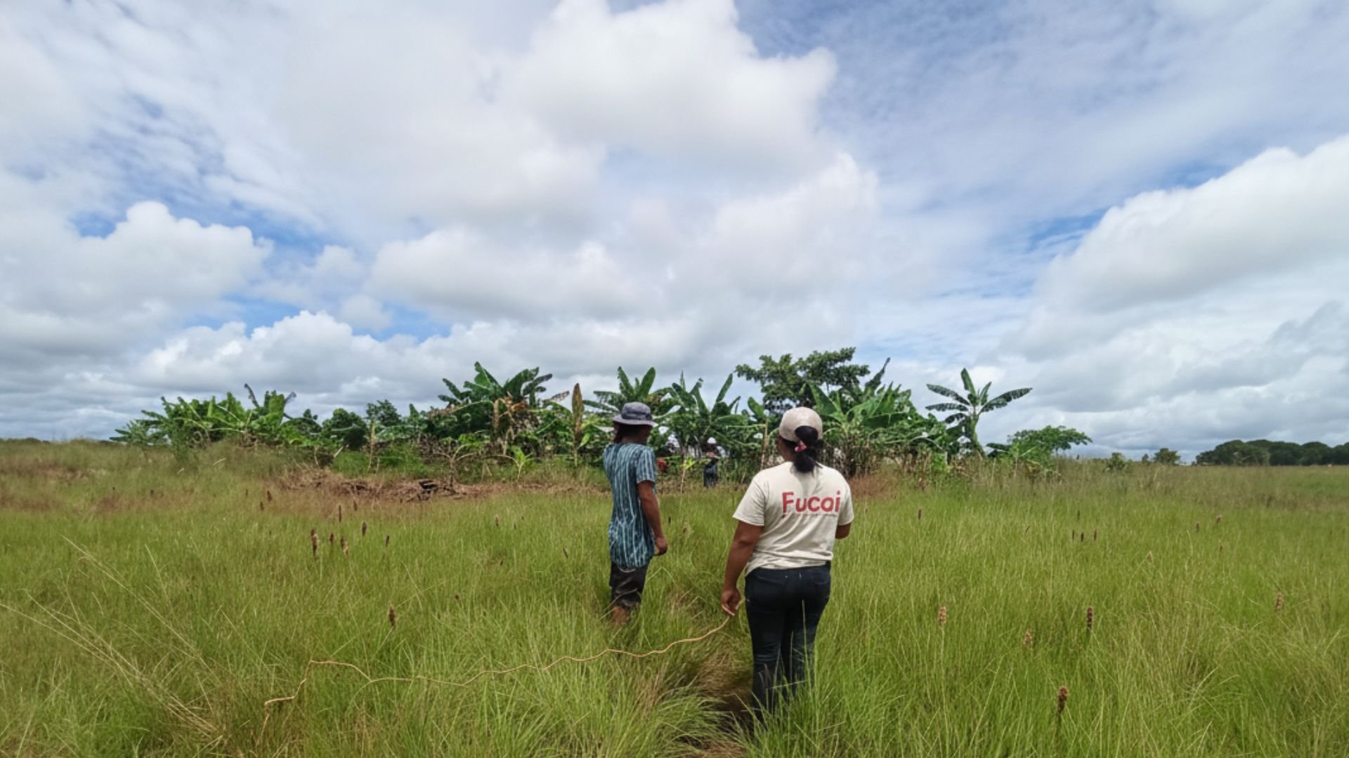 Personas en campo con plantas de plátano y cielo nublado.