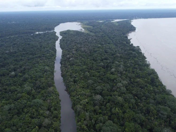 Amazonía
