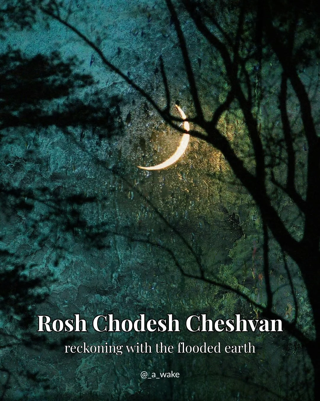 The month of Cheshvan has me submerged in climate grief. Here in LA, temperatures rose to existentially high levels as we brace ourselves for an overwhelmingly rainy season.

It leaves me wondering where to find hope, and I keep returning to the idea