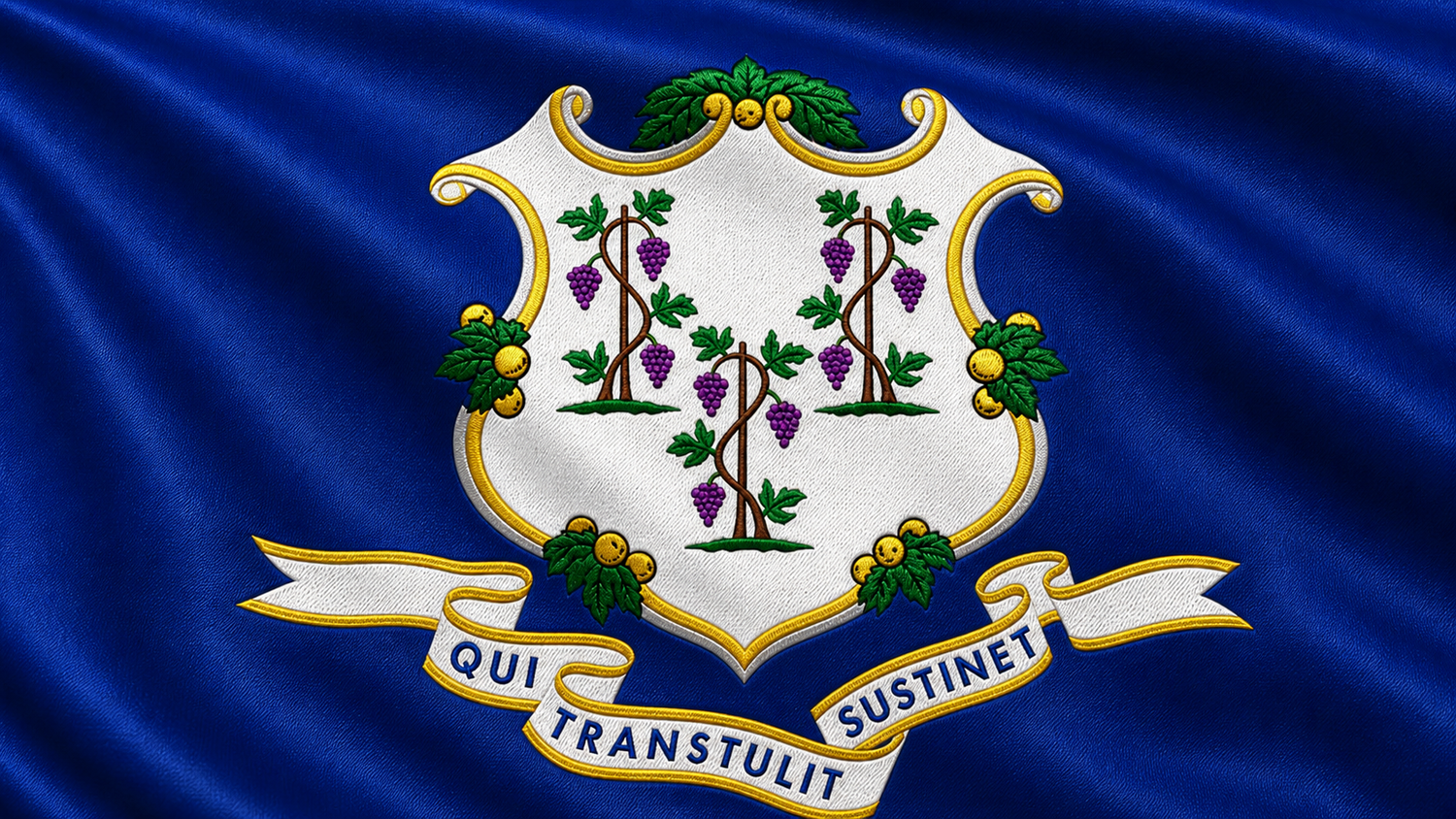 Movers serving Connecticut from Harrison NY