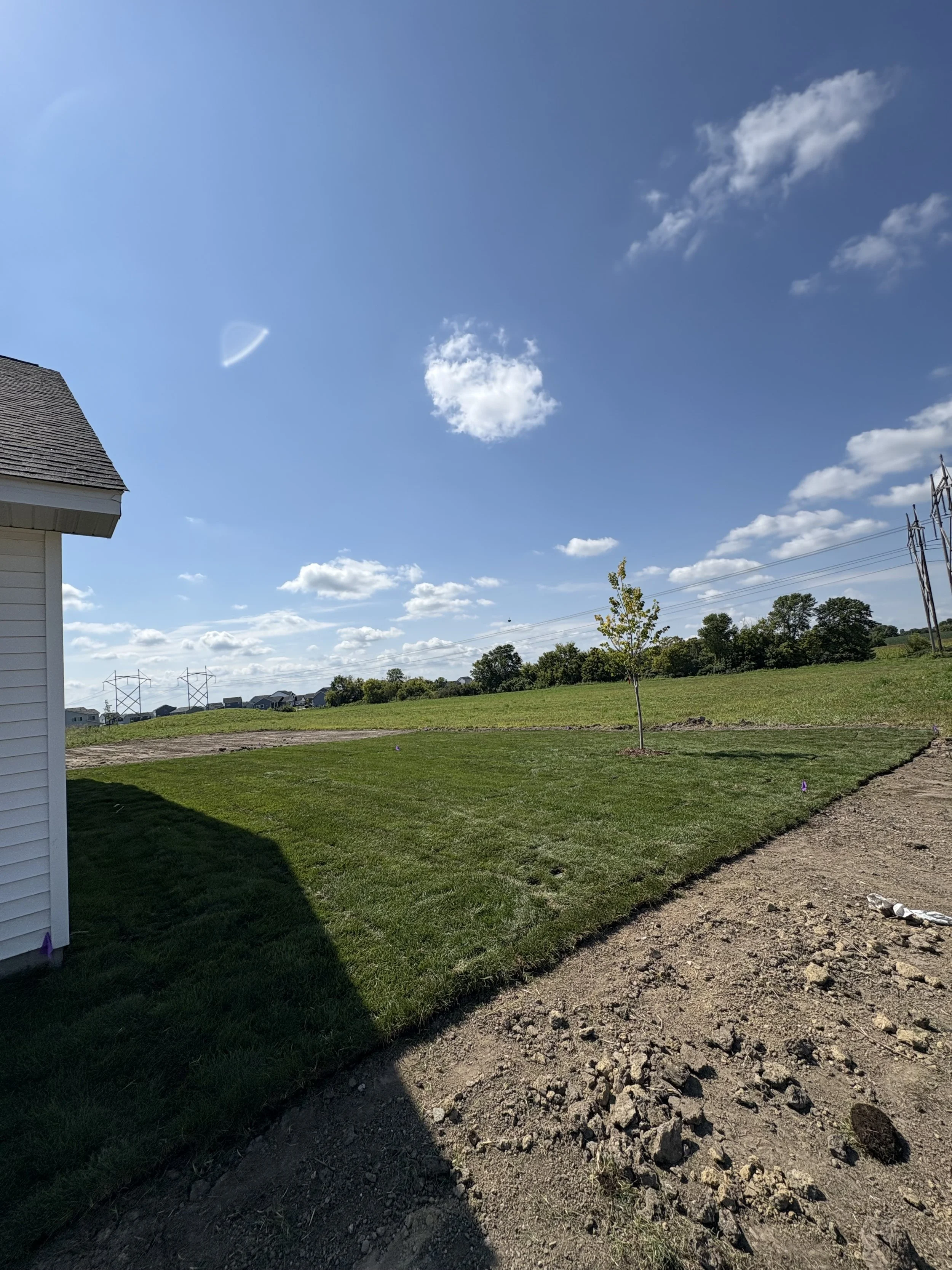 Sod & Tree Install for New Construction
