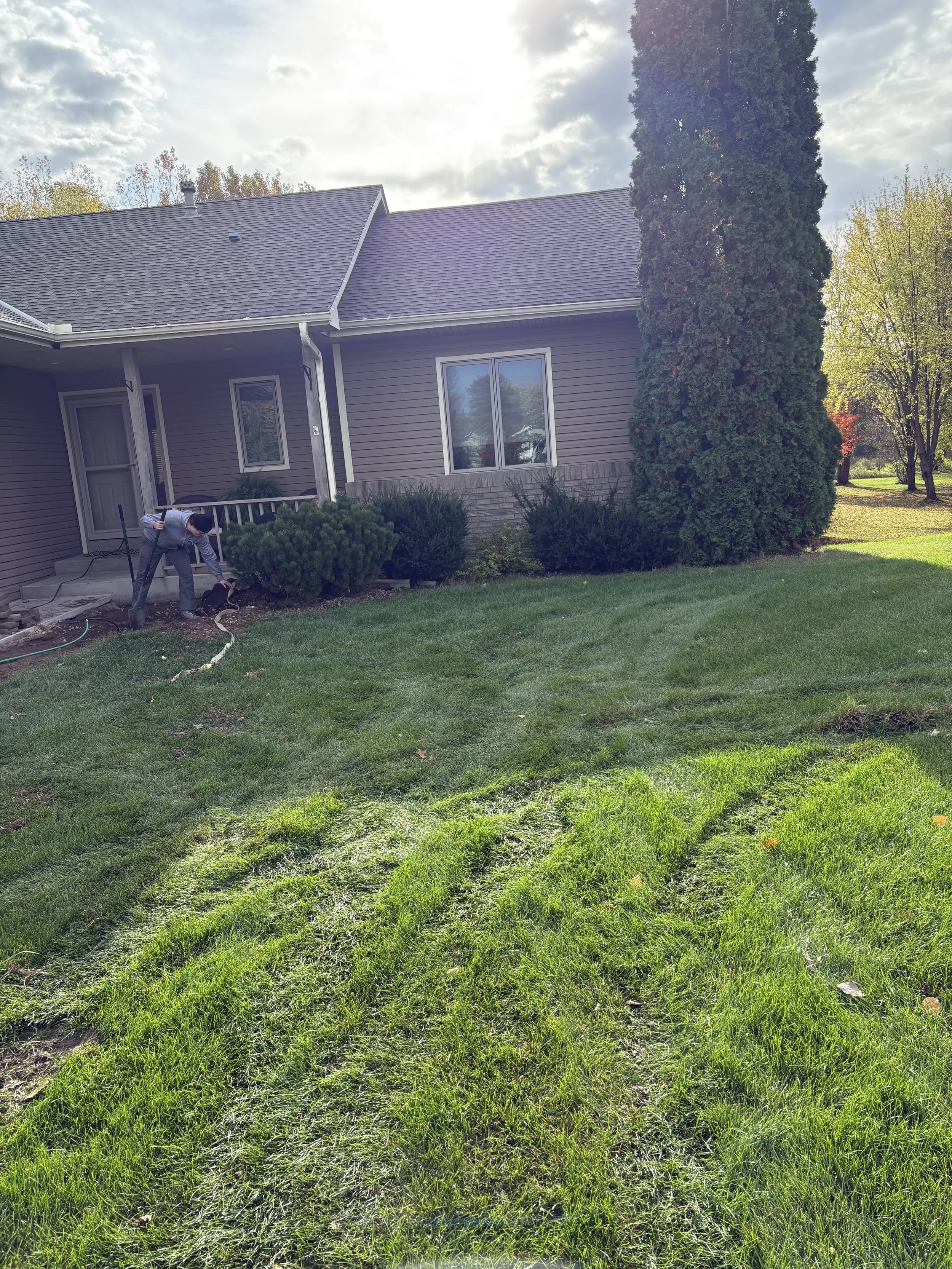 BEFORE Rock & Bush Removal