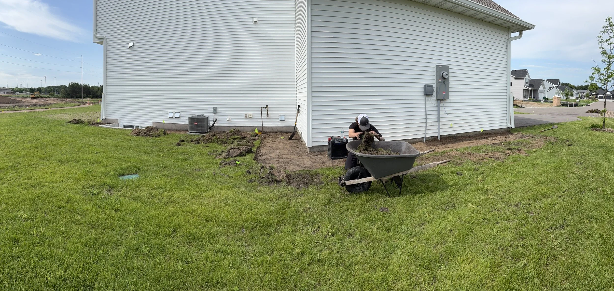 BEFORE Edging & Rock Install