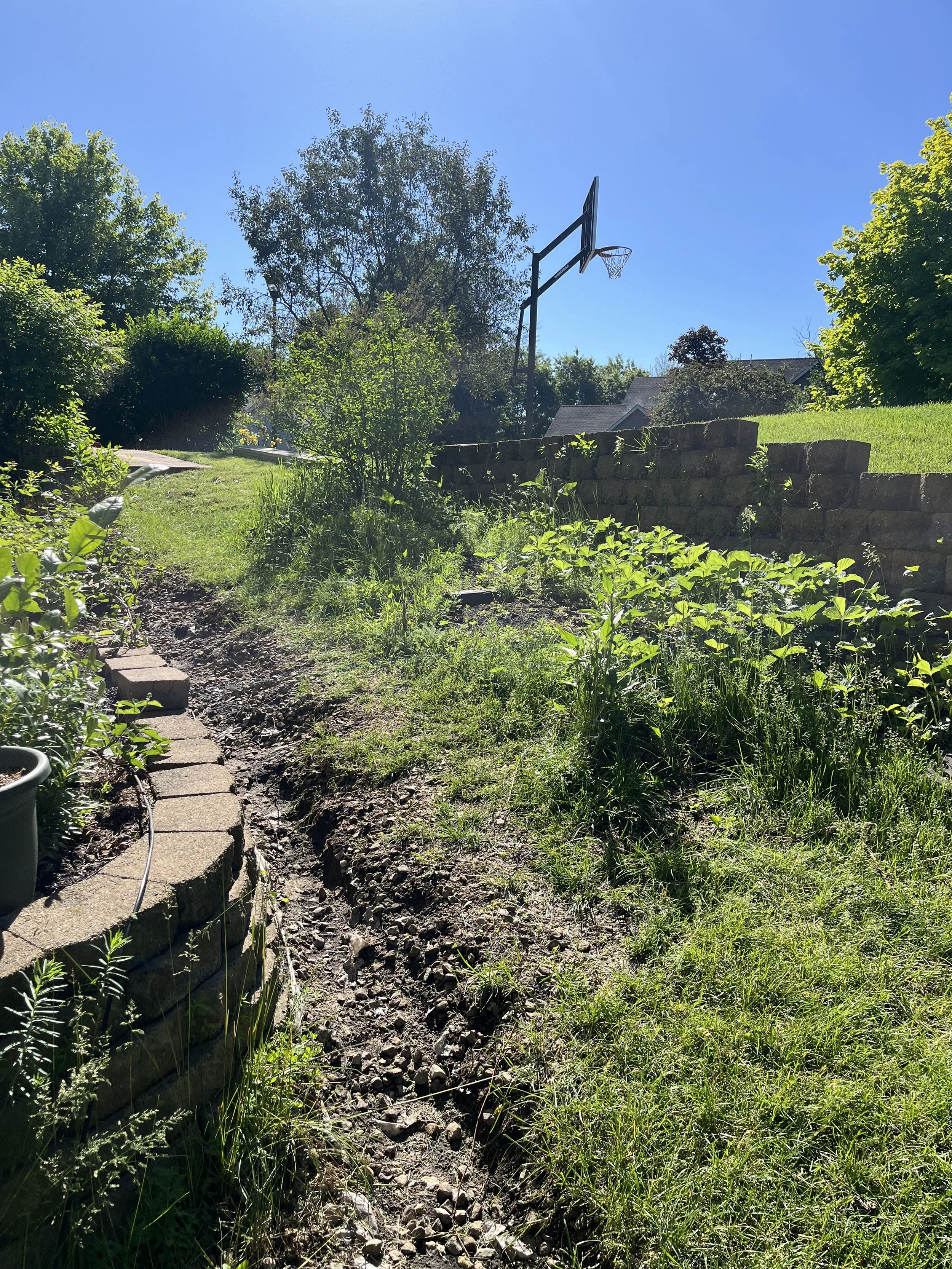 BEFORE Steps & Retaining Wall Build