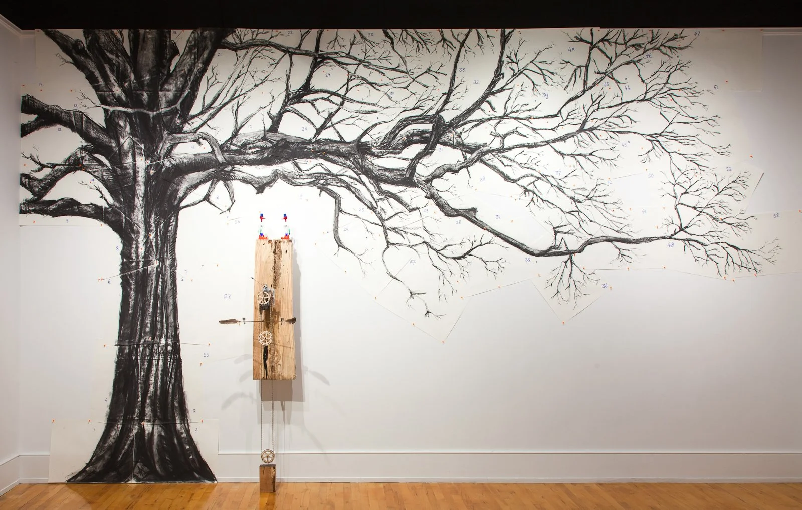 Willow Oak Exhibit Matijn van Wagtendonk install image.jpg