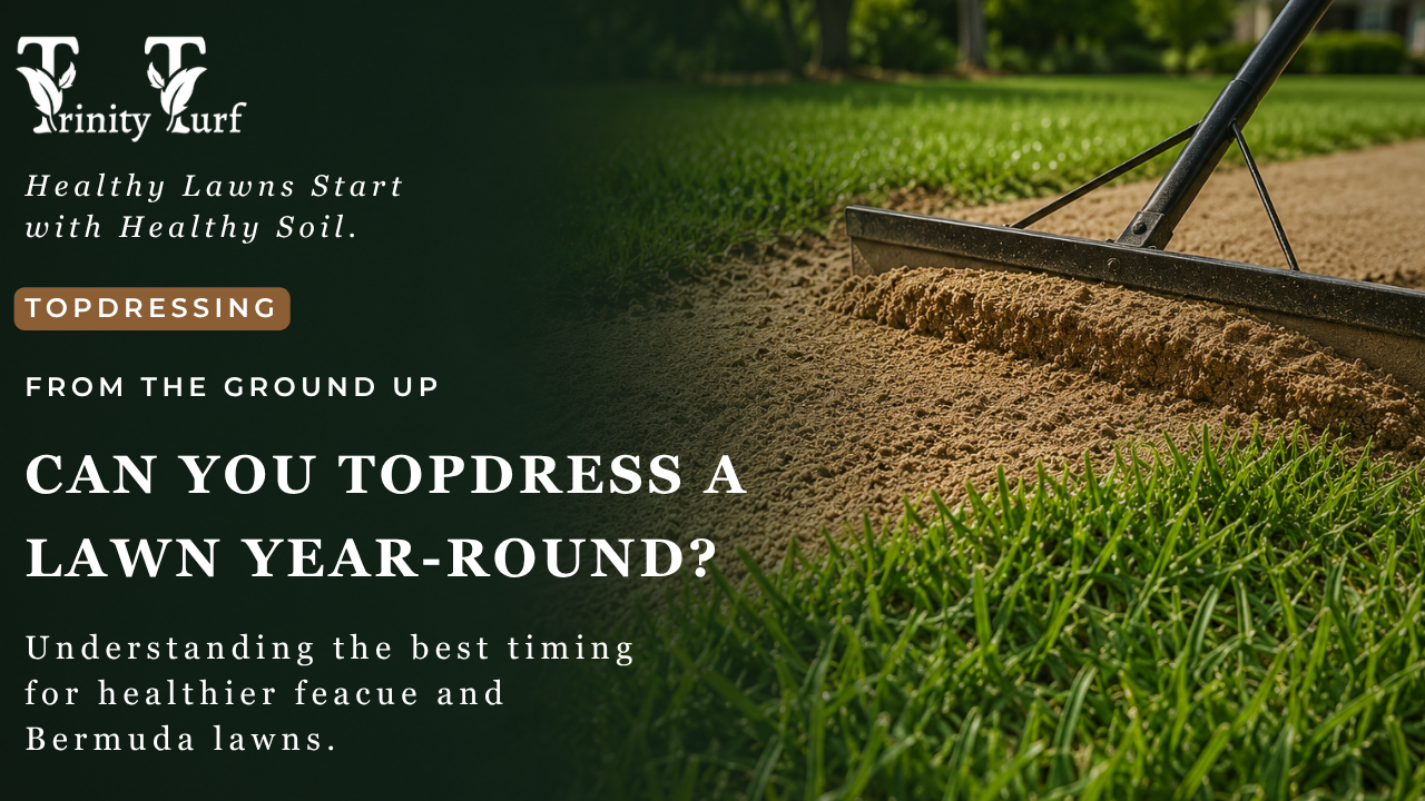 Can You Topdress a Lawn Year-Round? A Charlotte Homeowner’s Guide