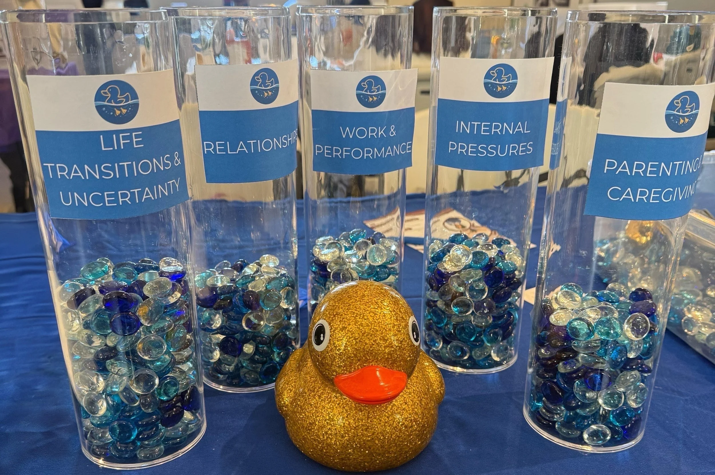 Life Transitions and uncertainty is the key pressure