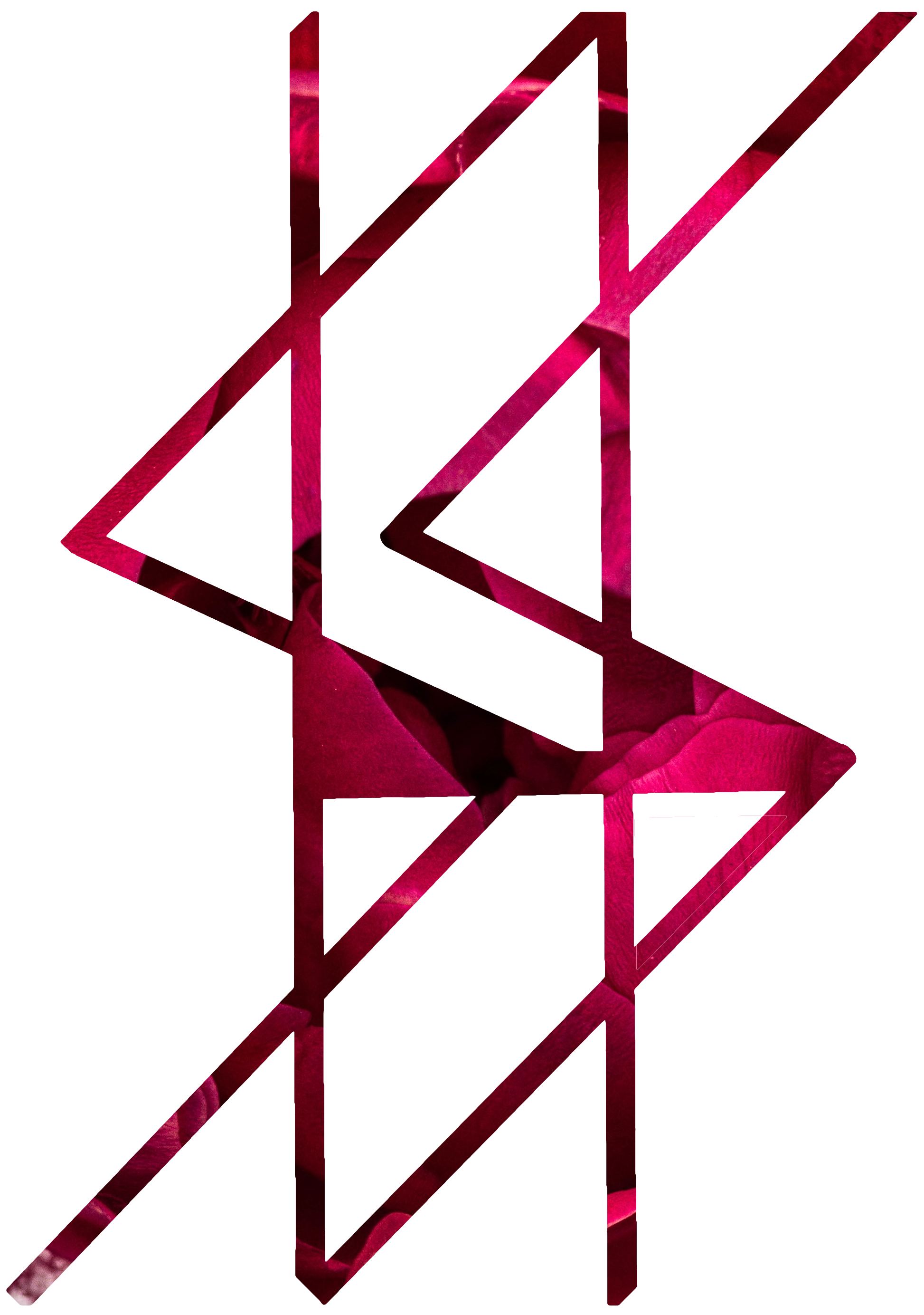 ShikShot CheaterLogo.png