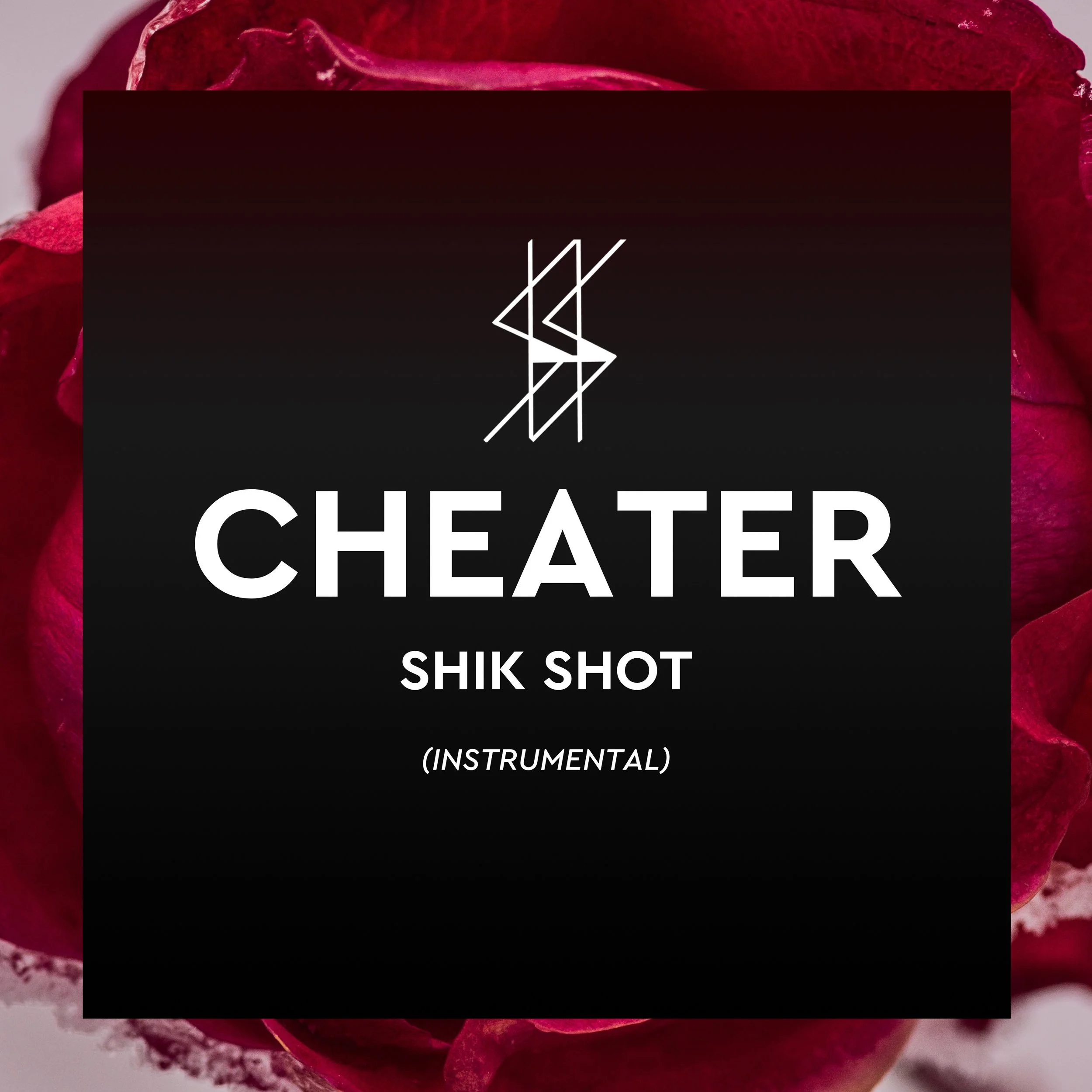 CHEATER COVER_INSTRU.jpg