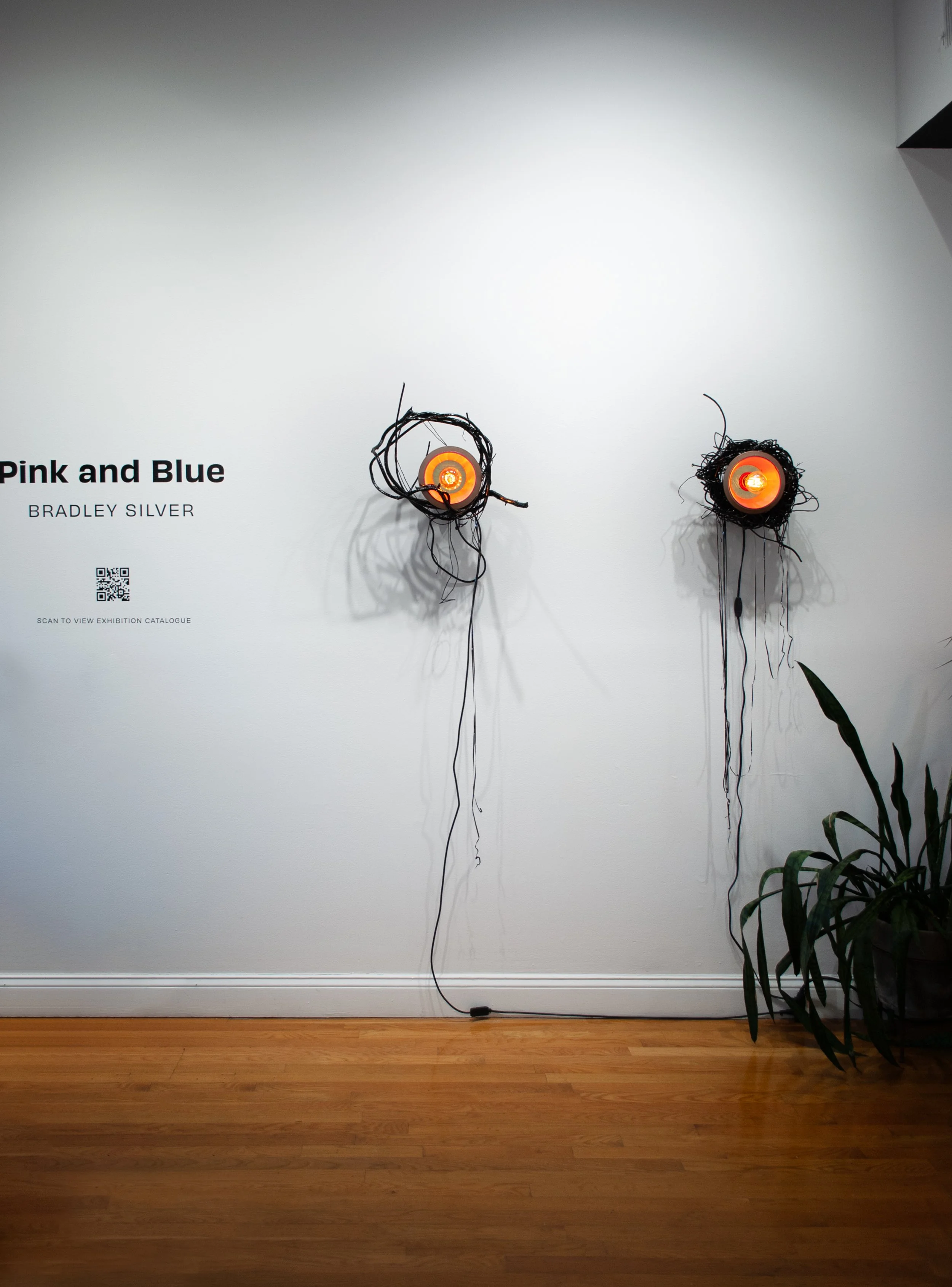PinkandBlue_Install-3.jpg