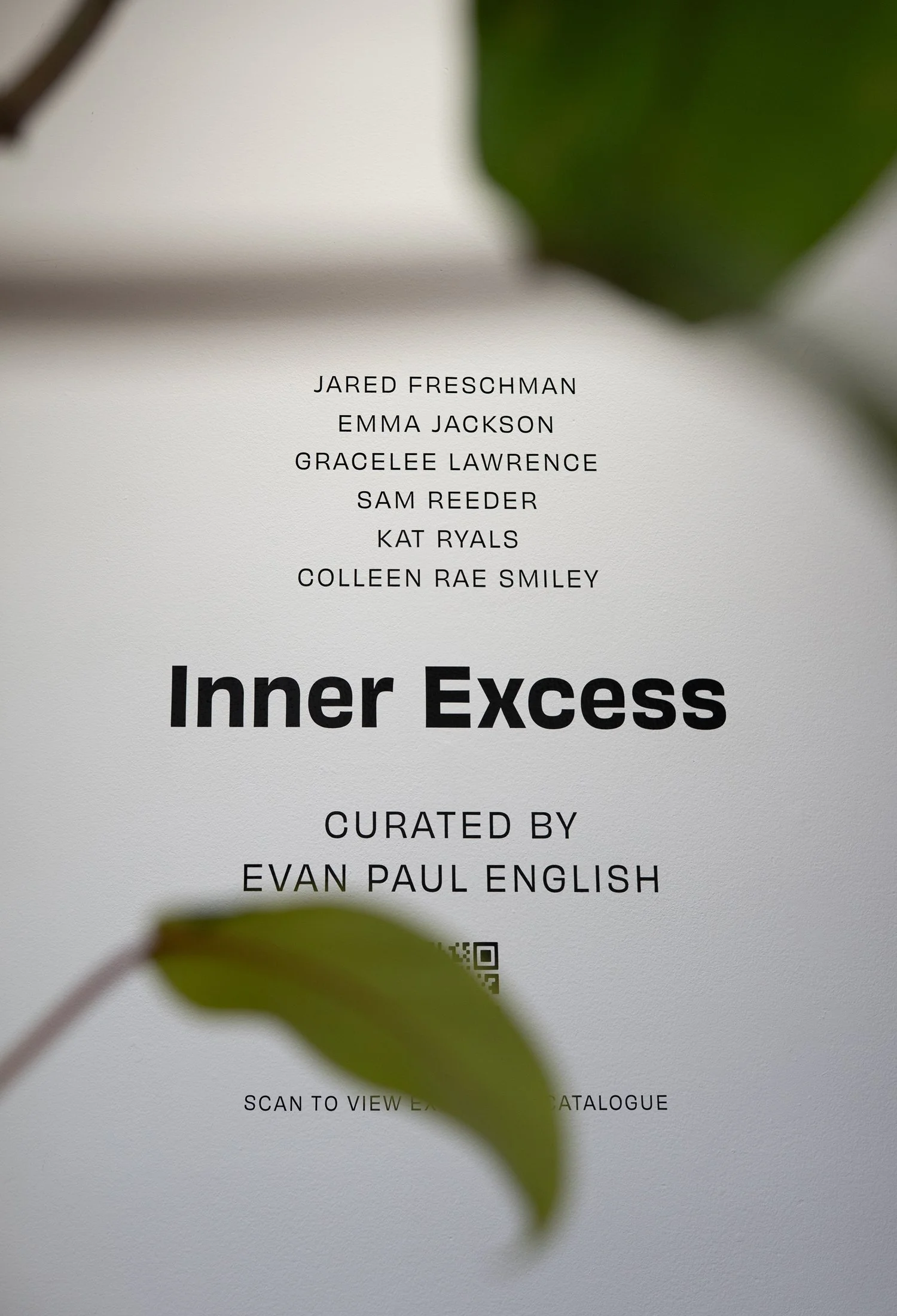 DistortionSociety_InnerExcess_vinyl-email.jpg