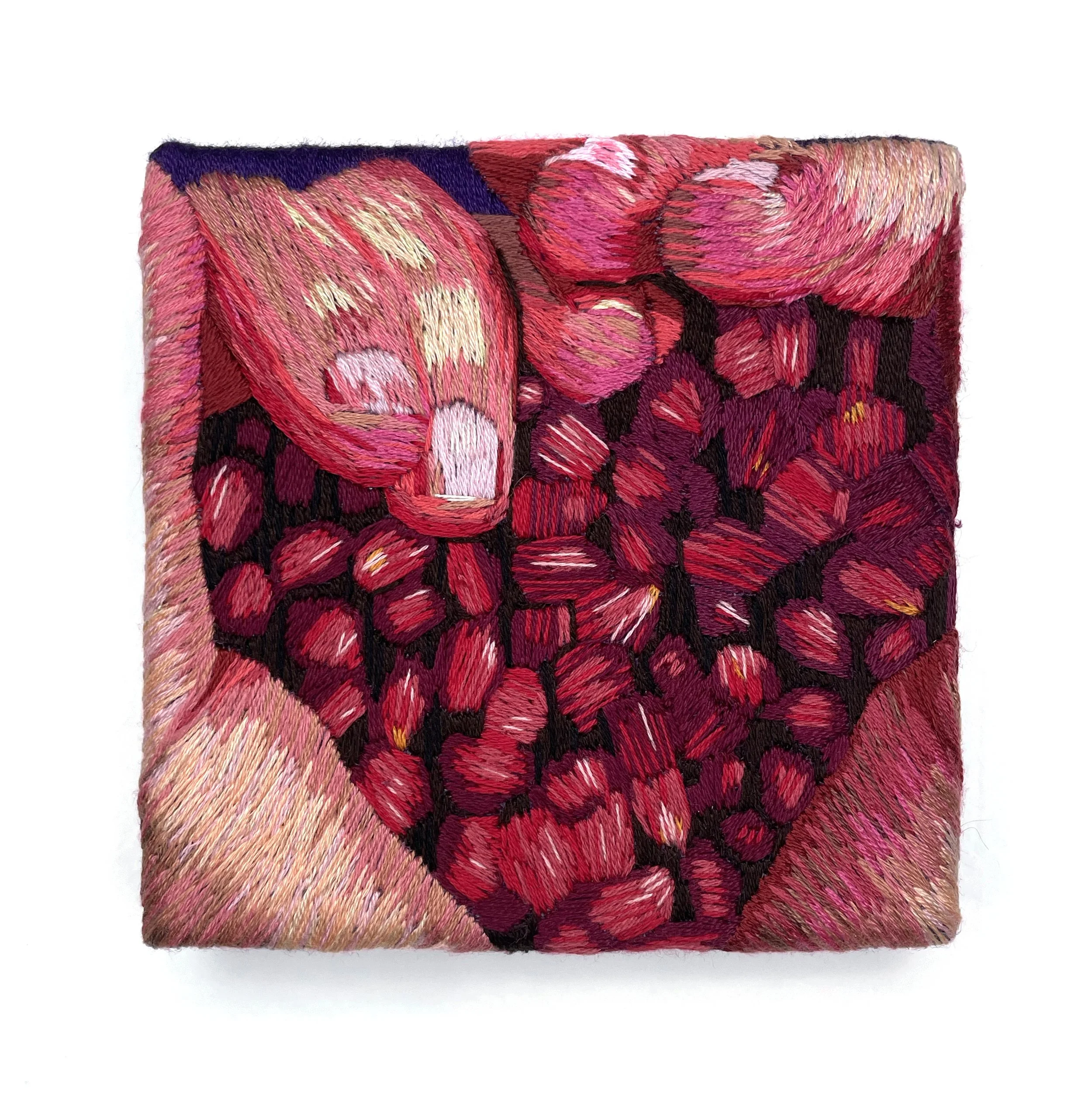 Vena Cava.jpg
