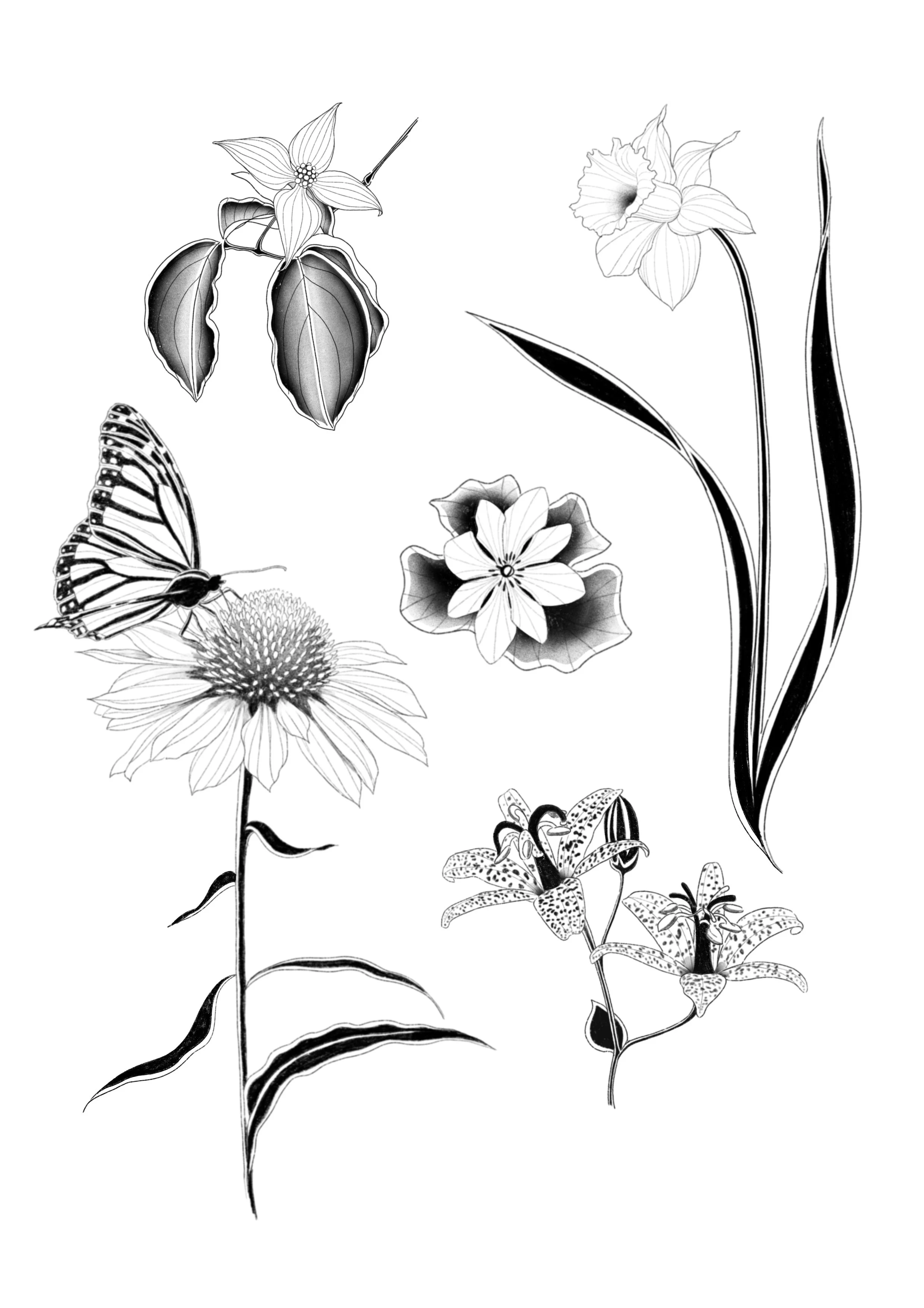 Untitled_Artwork 2.jpg