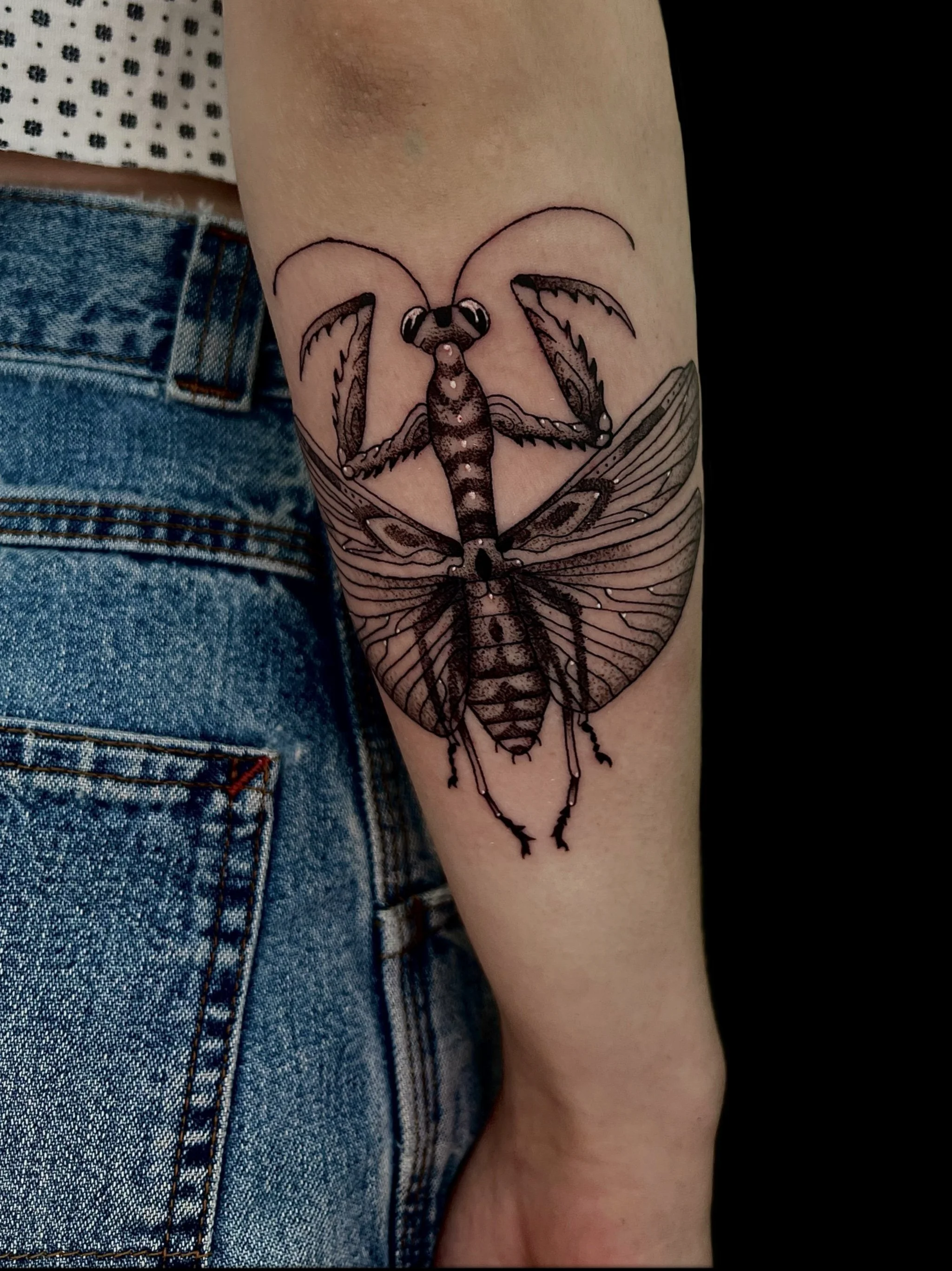 Savvy Distortion Portfolio 14_15.jpg