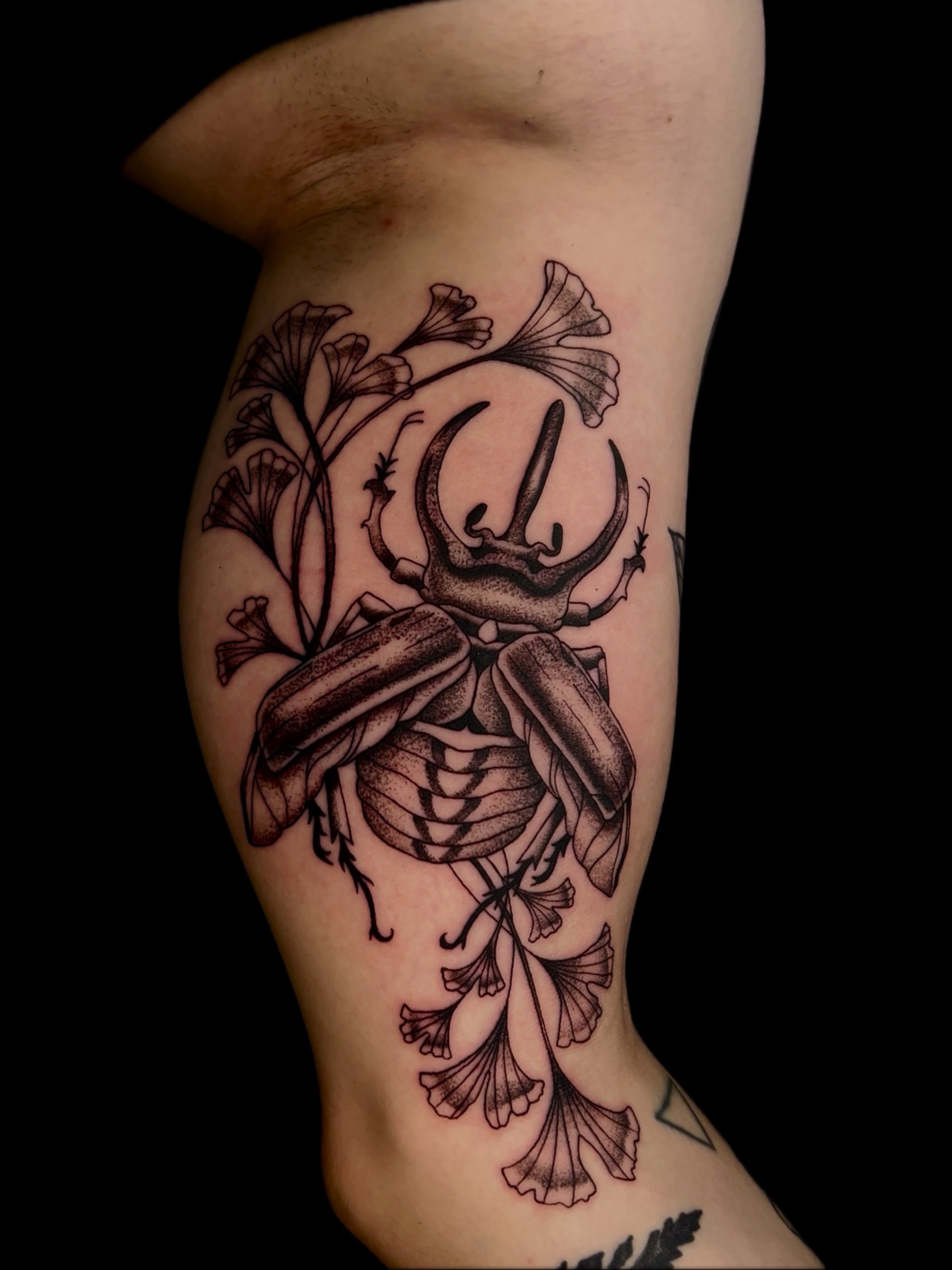 Savvy Distortion Portffolio 2_15.jpg