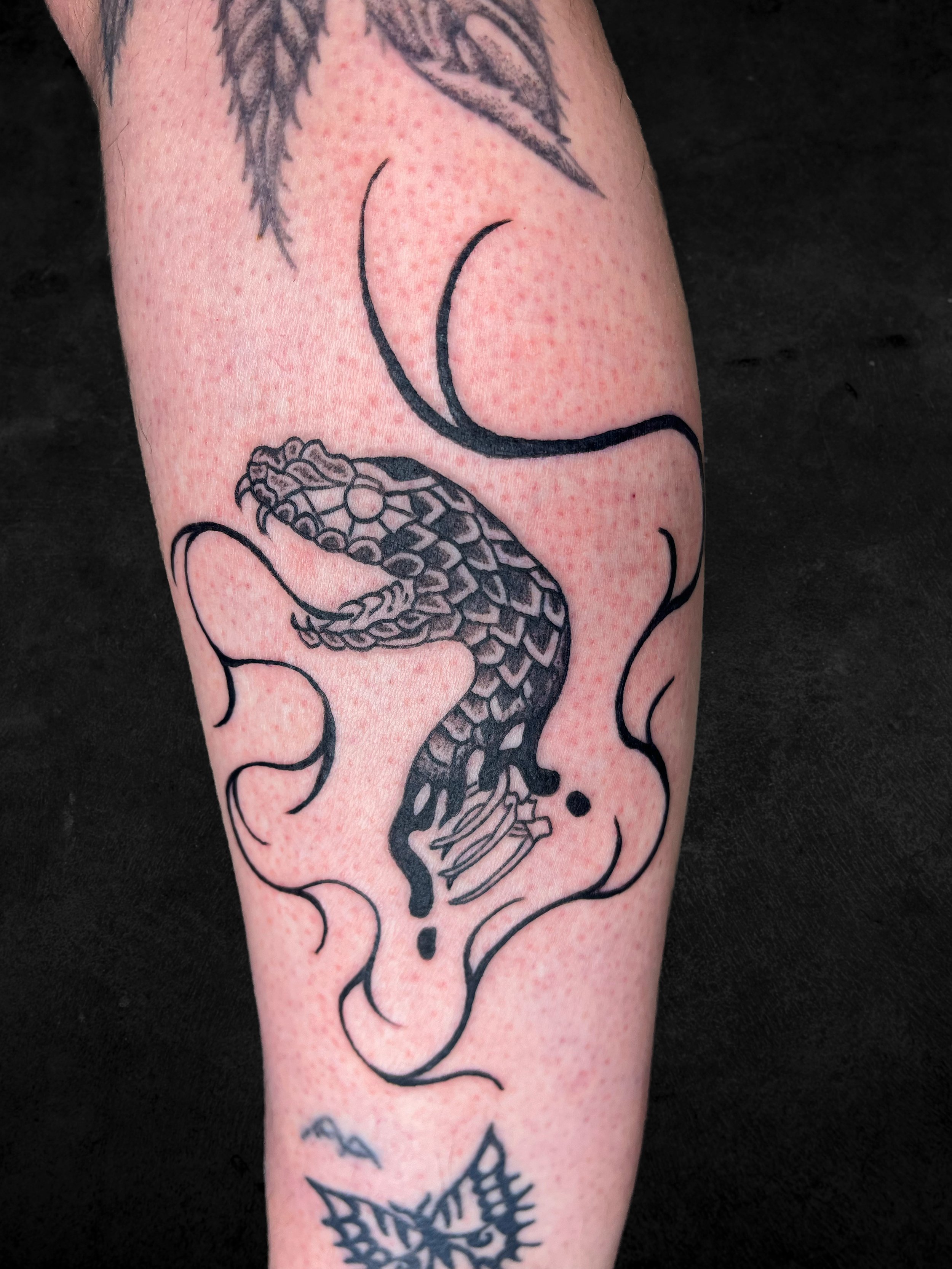 Mile-Snake-Head.jpg