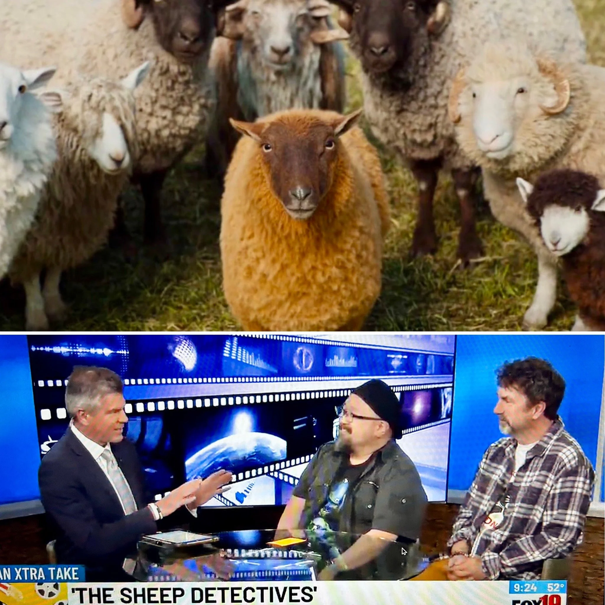 Kevin &amp; Beau Discuss “The Sheep Detectives” 