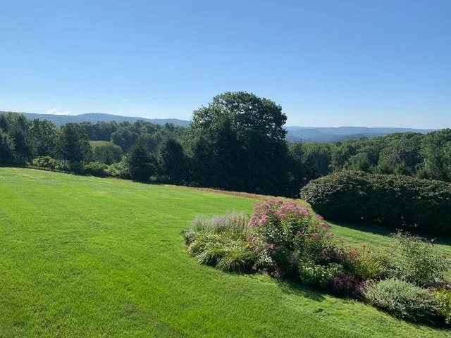 Photo credit: Patricia Rowell