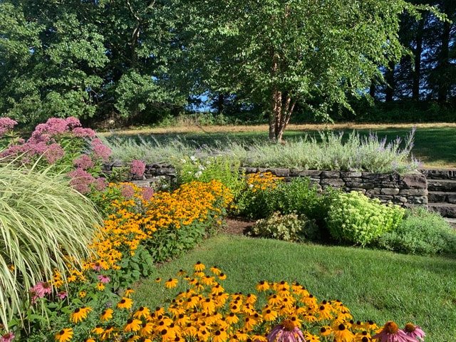 Photo credit: Patricia Rowell