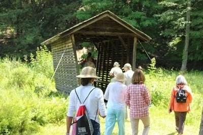 visit-to-innisfree.jpg