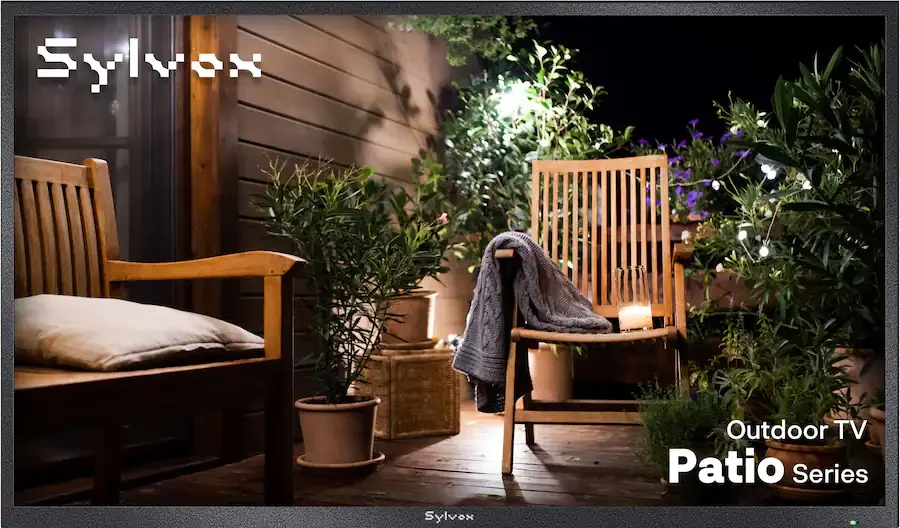 TV.webp