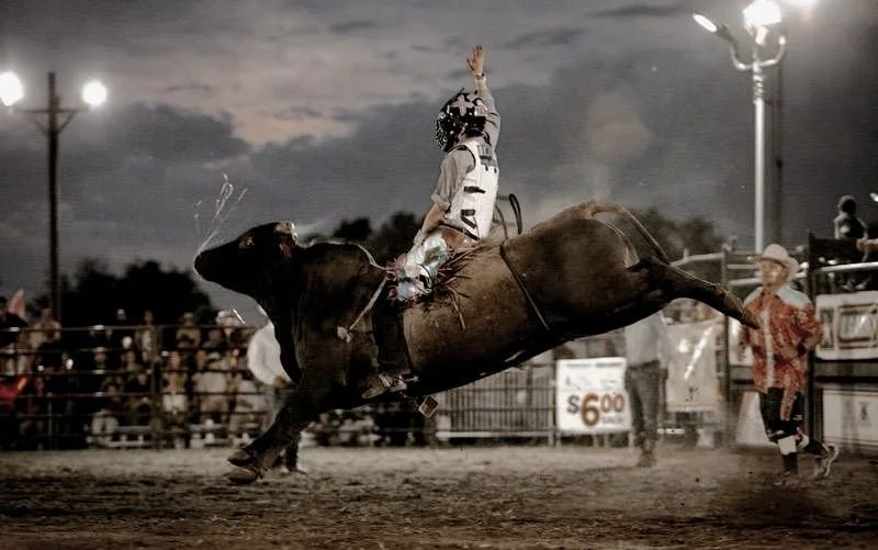 Boar Products Rides High with WCMB Bullrider Walker "Hollywood" Smith