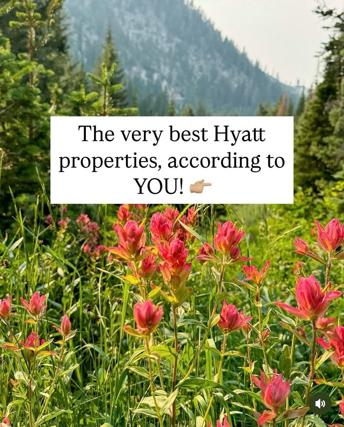 Nearly free Hyatt stays are so easy thanks to credit card points!

#worldofhyatt #creditcardpoints