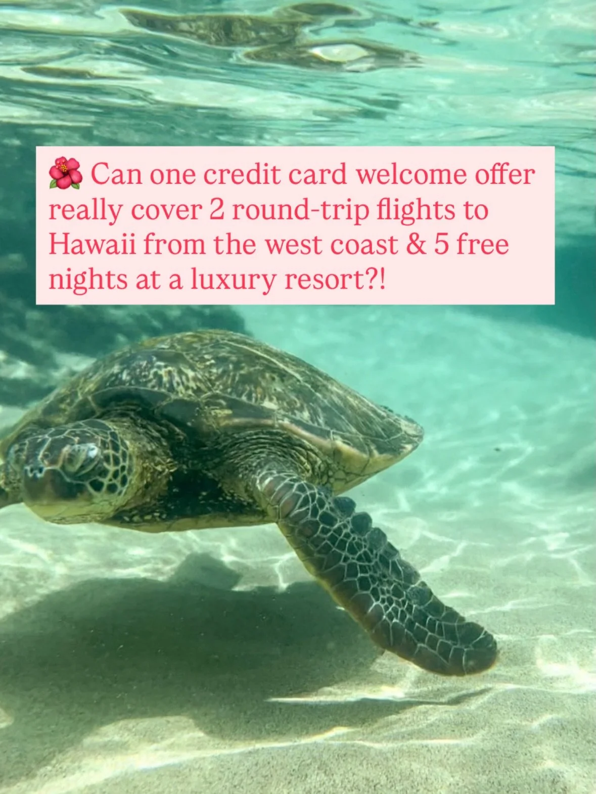 One 200k elevated welcome offer (Last Chance! Ending on Thursday 1/22/2026 at 9 am EST) can equal:

 ✈️ Two round-trip flights to Hawaii 
 🏝️ + 5-6 free nights at a luxury resort

This is possible by transferring points to partners like Southwest an