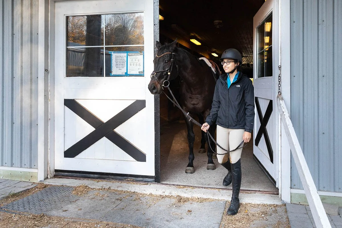 story-jen-equestrian-stable5.jpg