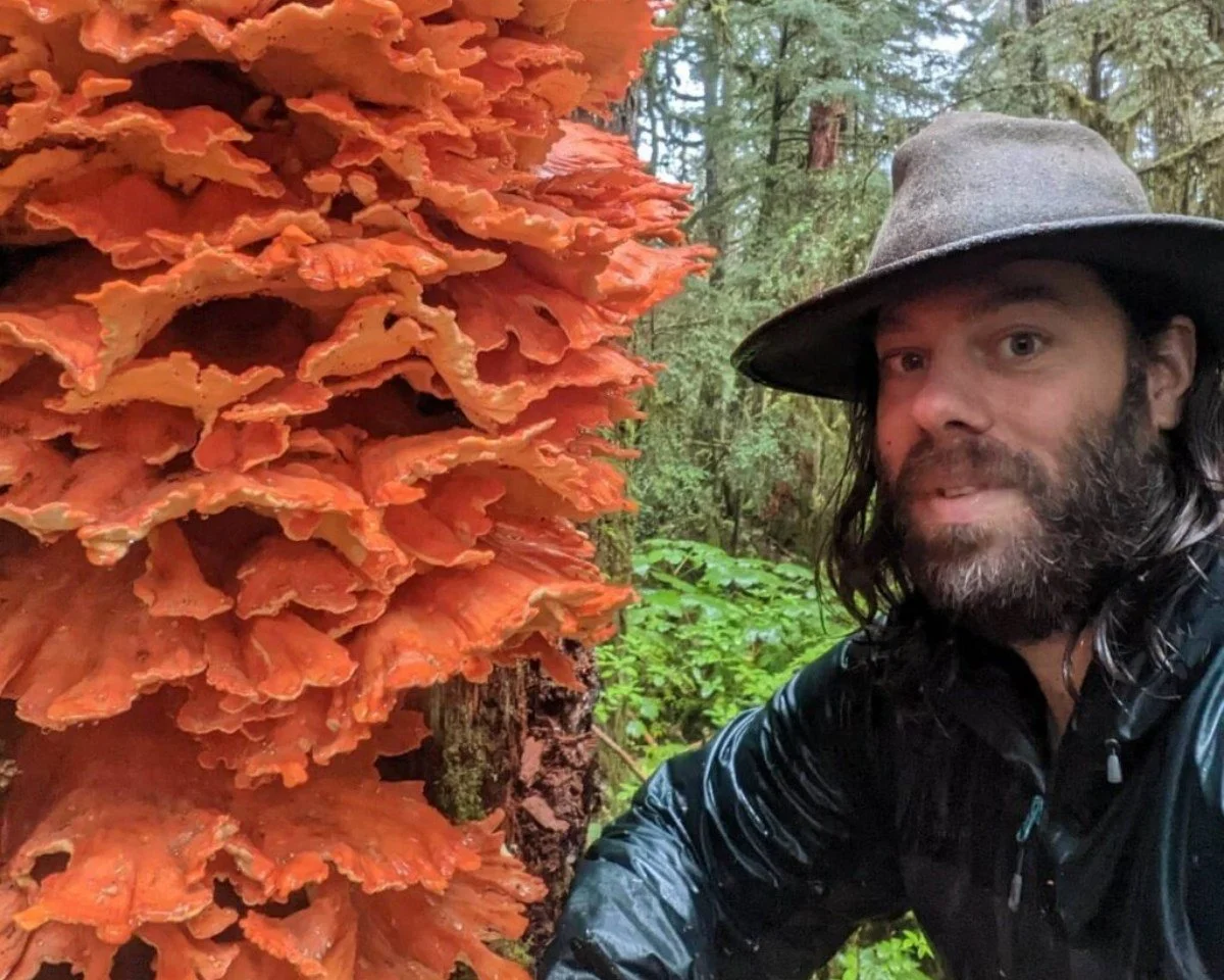 Hear from one of North America&rsquo;s foremost field mycologists.
The wet mossy forests, transitioning over the crest of the Cascade Range into high desert allow the Pacific Northwest to host a spectacular diversity of mushrooms, a true fungal parad