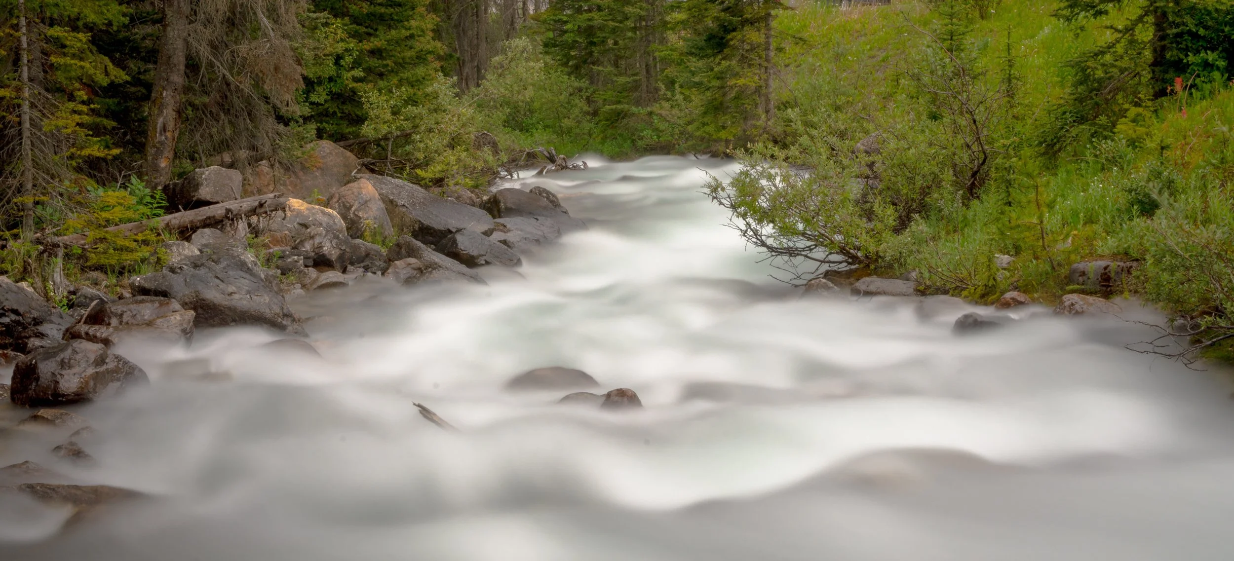 rapids LE-1.JPG