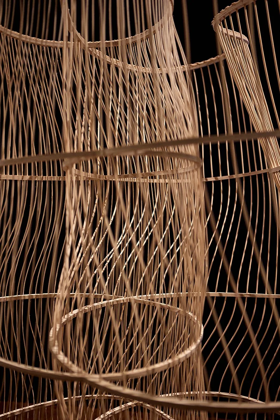 Amandine-David&Esme-Hofman-Meshes, 2023-2© Sam Gilbert.jpg