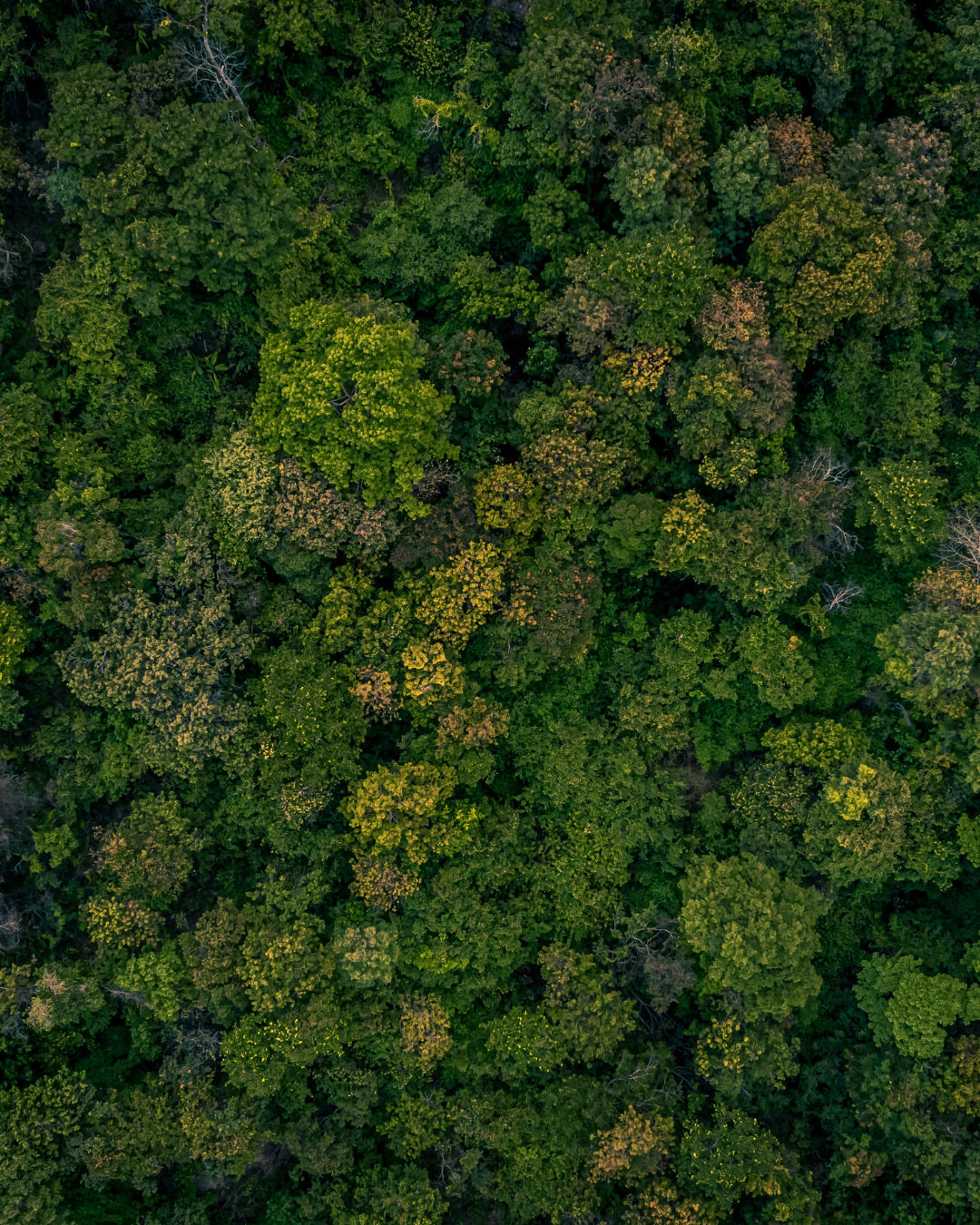 Can we build for people, planet, and profit? 