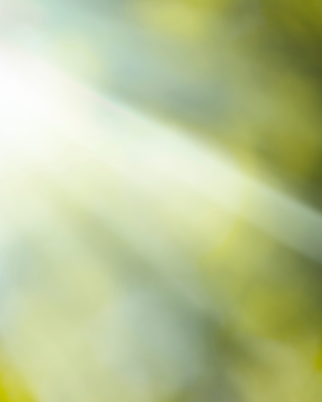 Circularity in an age where talk is cheap and cheap is fast
