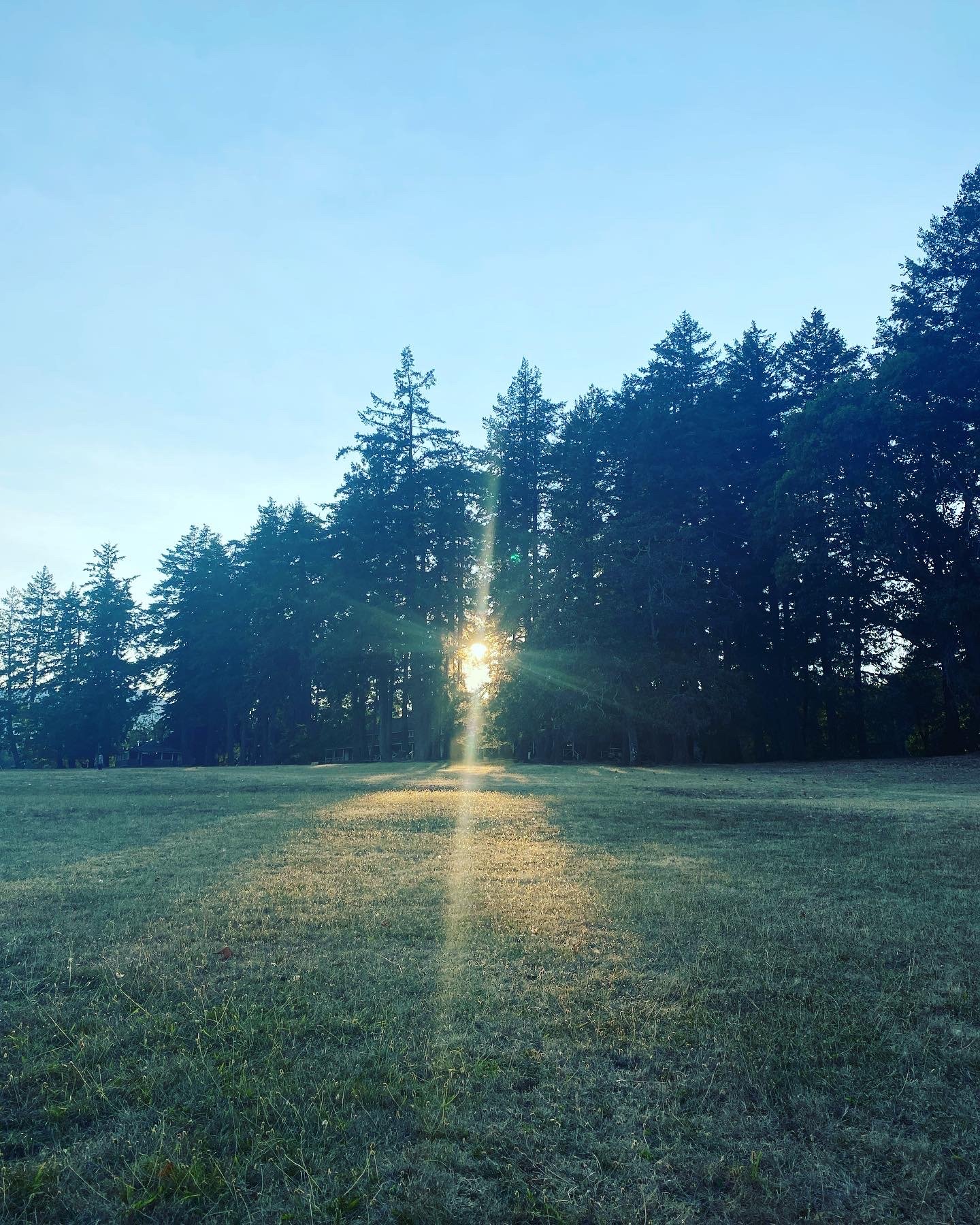 July New Moon Walk