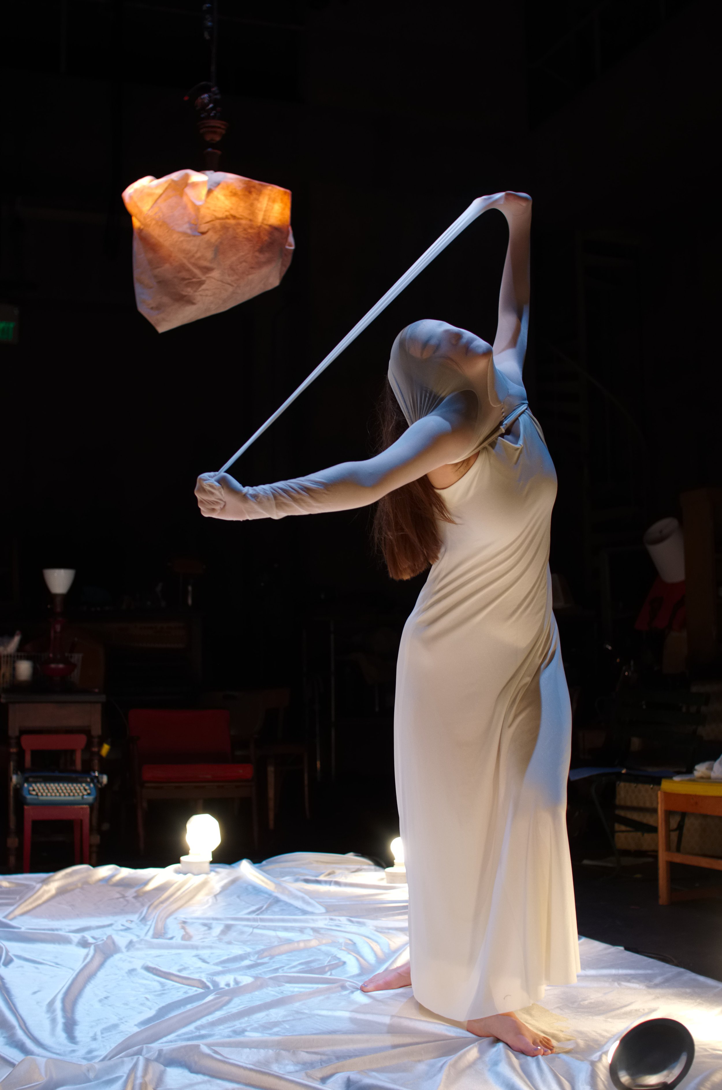 The Seagull, Wesleyan 2013