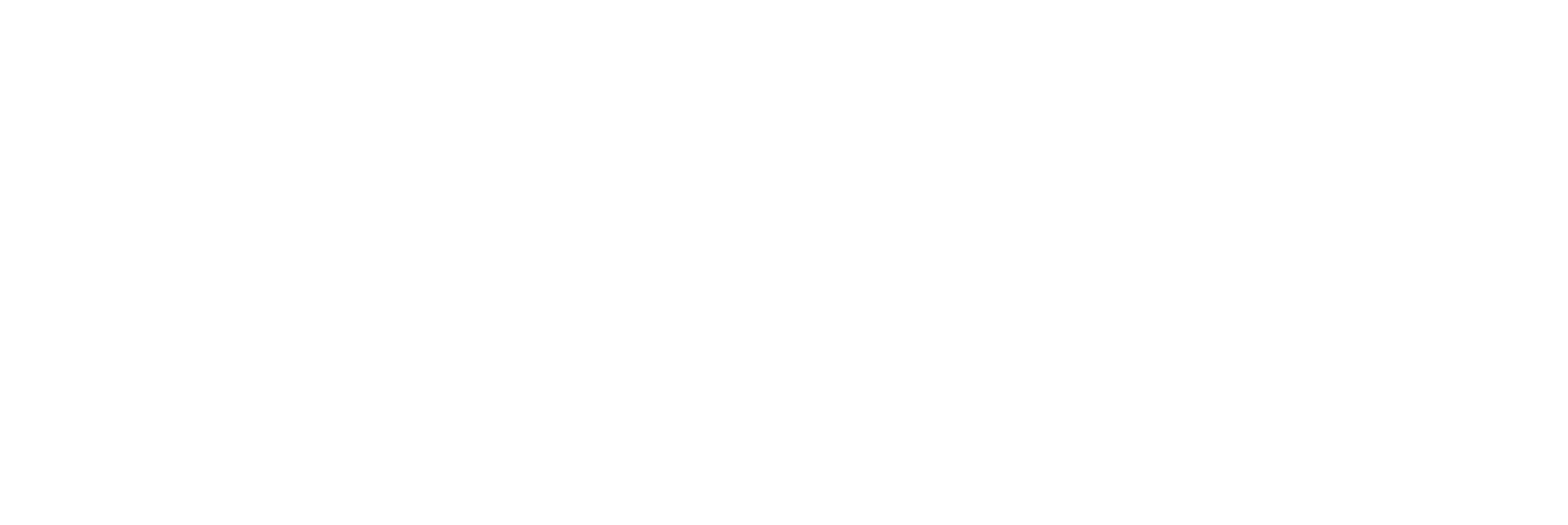 Layne's Logo White.png