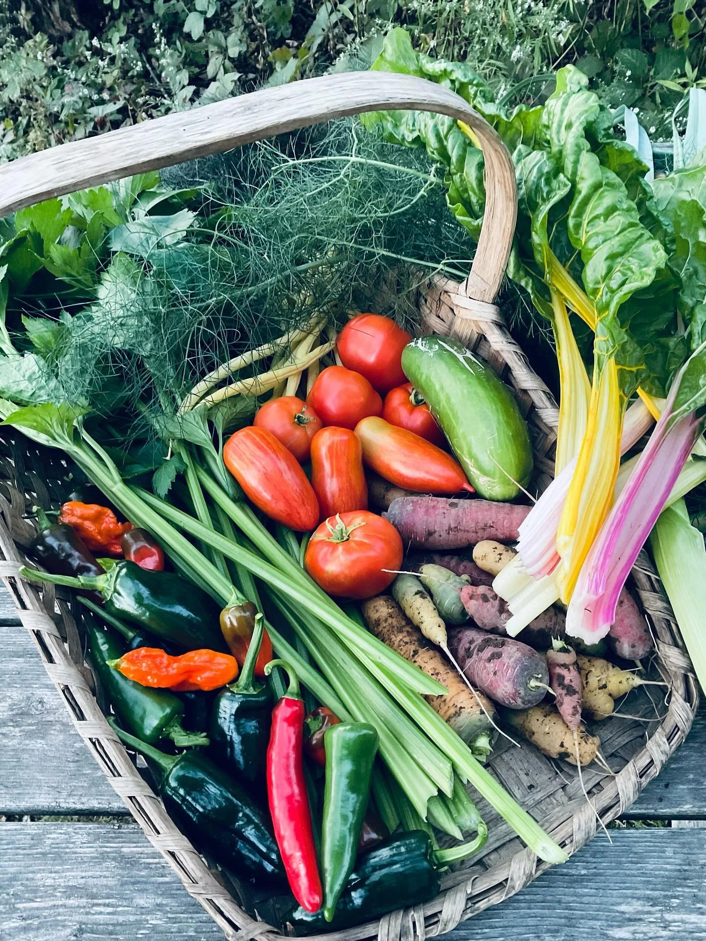 September bounty! (Plus one cute garden elf.) I&rsquo;ve been staying up late canning and drying these past couple of weeks, which is likely to continue for the next month or so.

It&rsquo;s true that summer&rsquo;s almost gone, but I will be good an